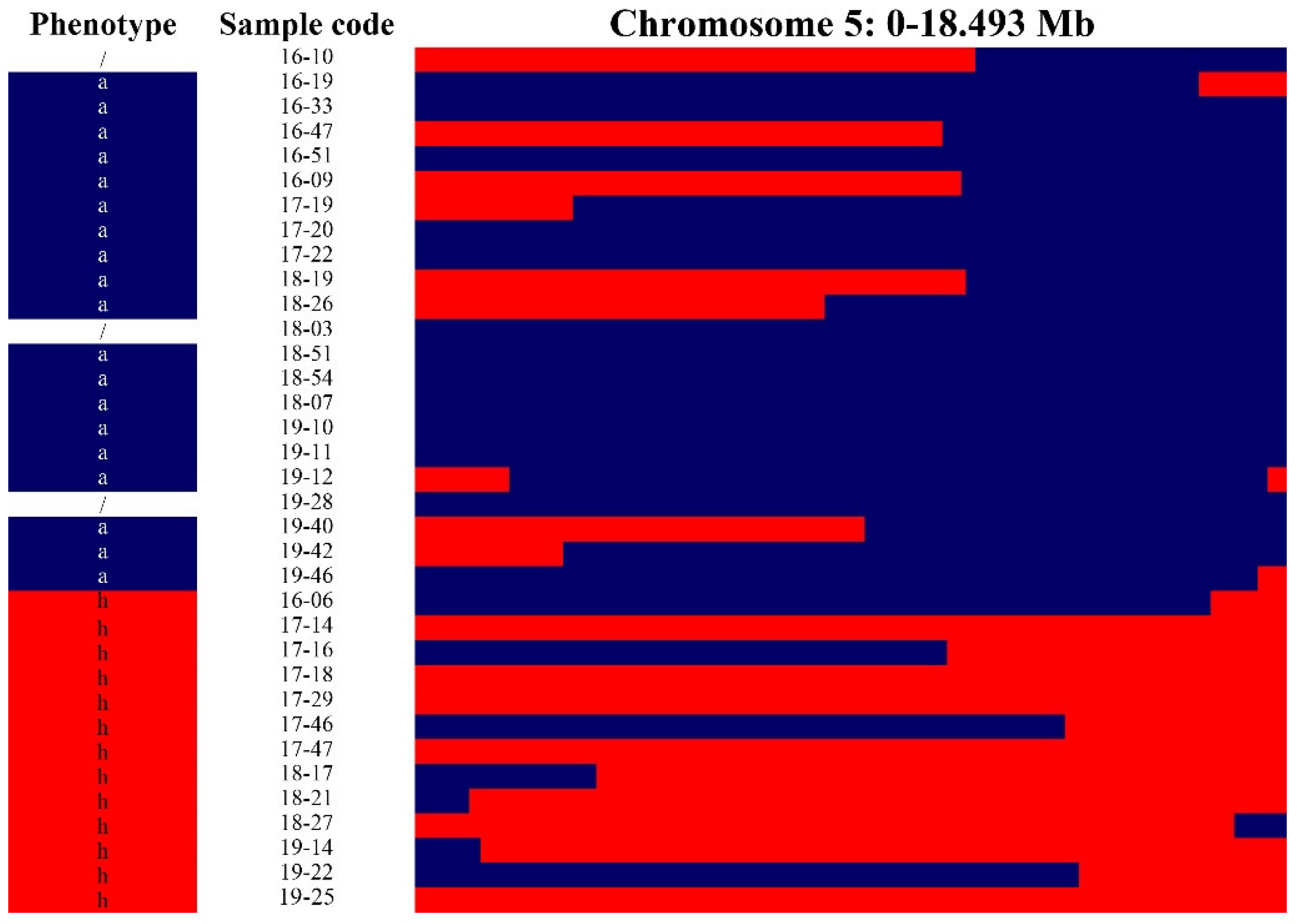 Plants 10 01433 g002 Plants 10 01433 g002