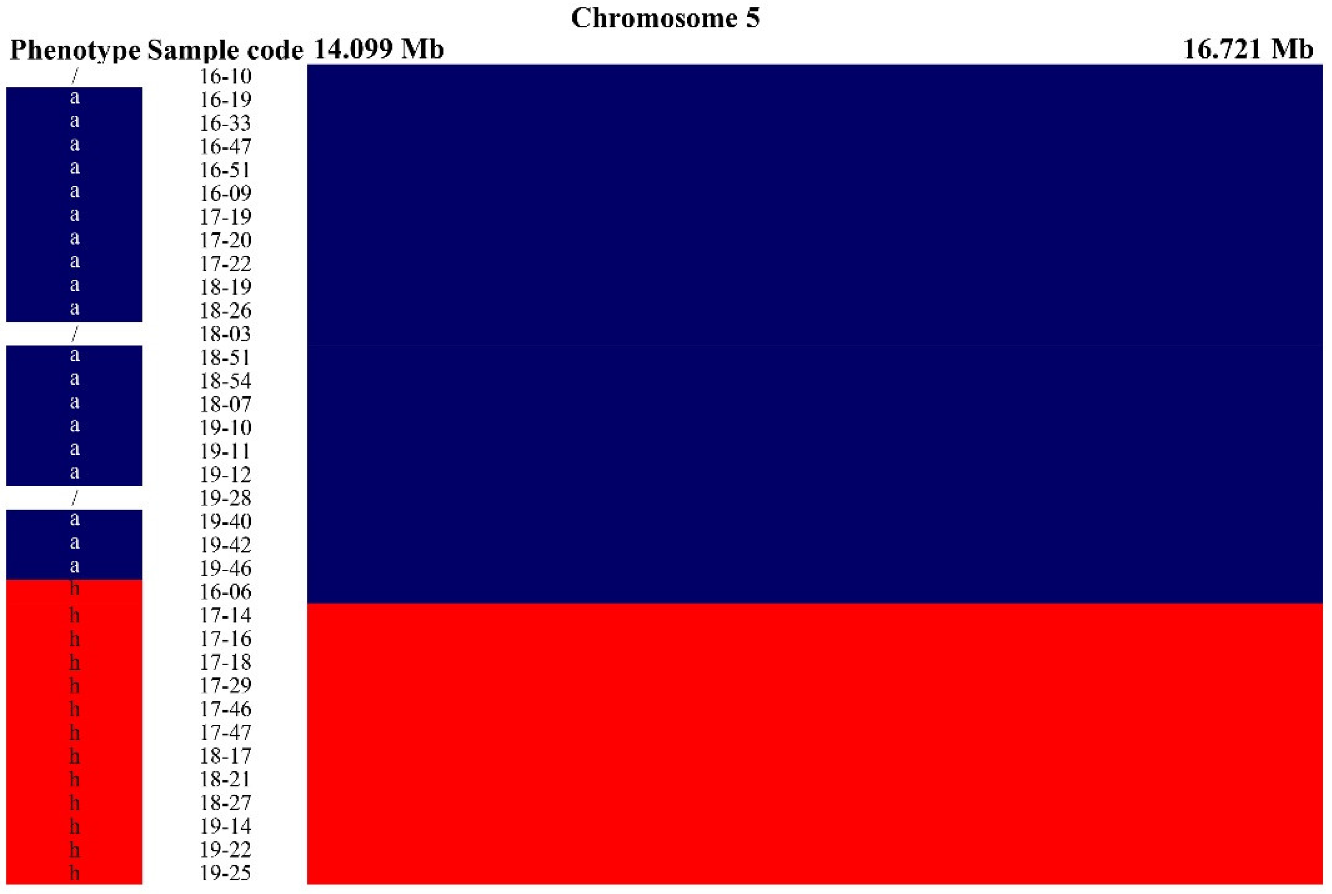 Plants 10 01433 g003 Plants 10 01433 g003