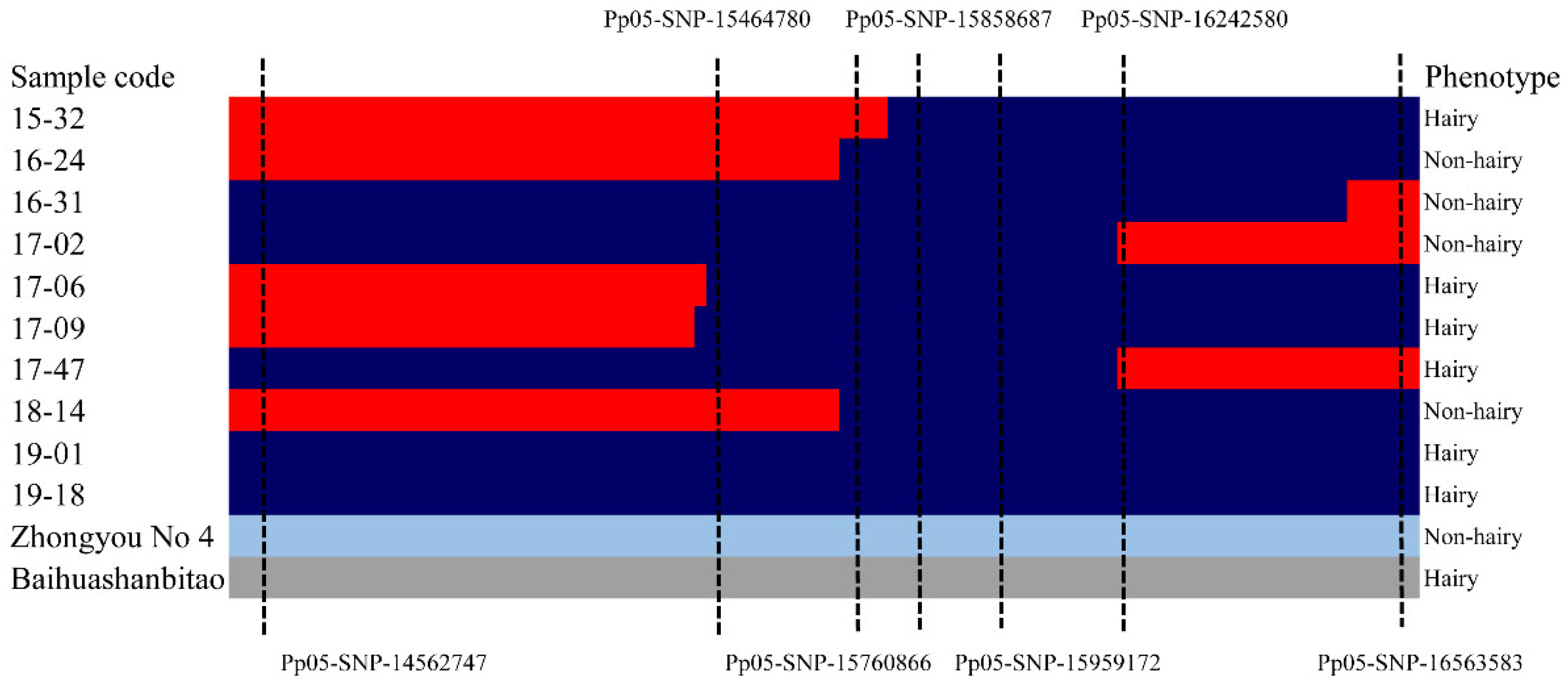Plants 10 01433 g004 Plants 10 01433 g004