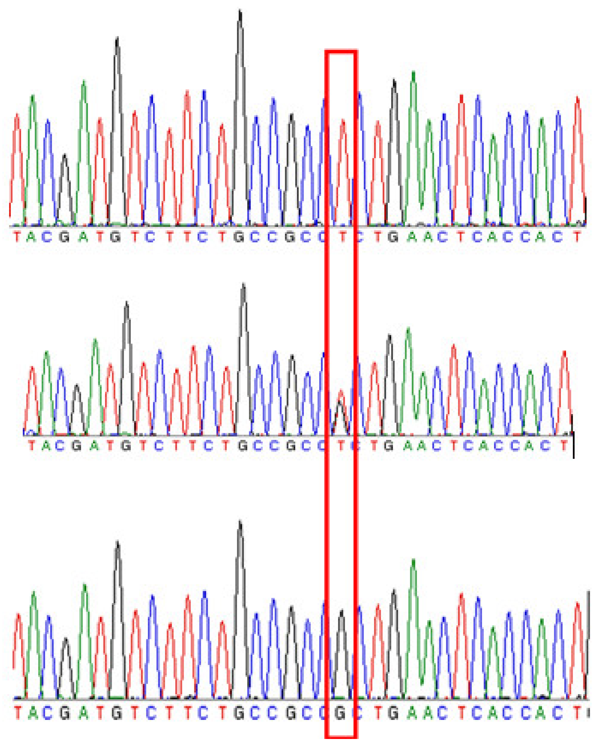 Plants 10 01433 g005 Plants 10 01433 g005