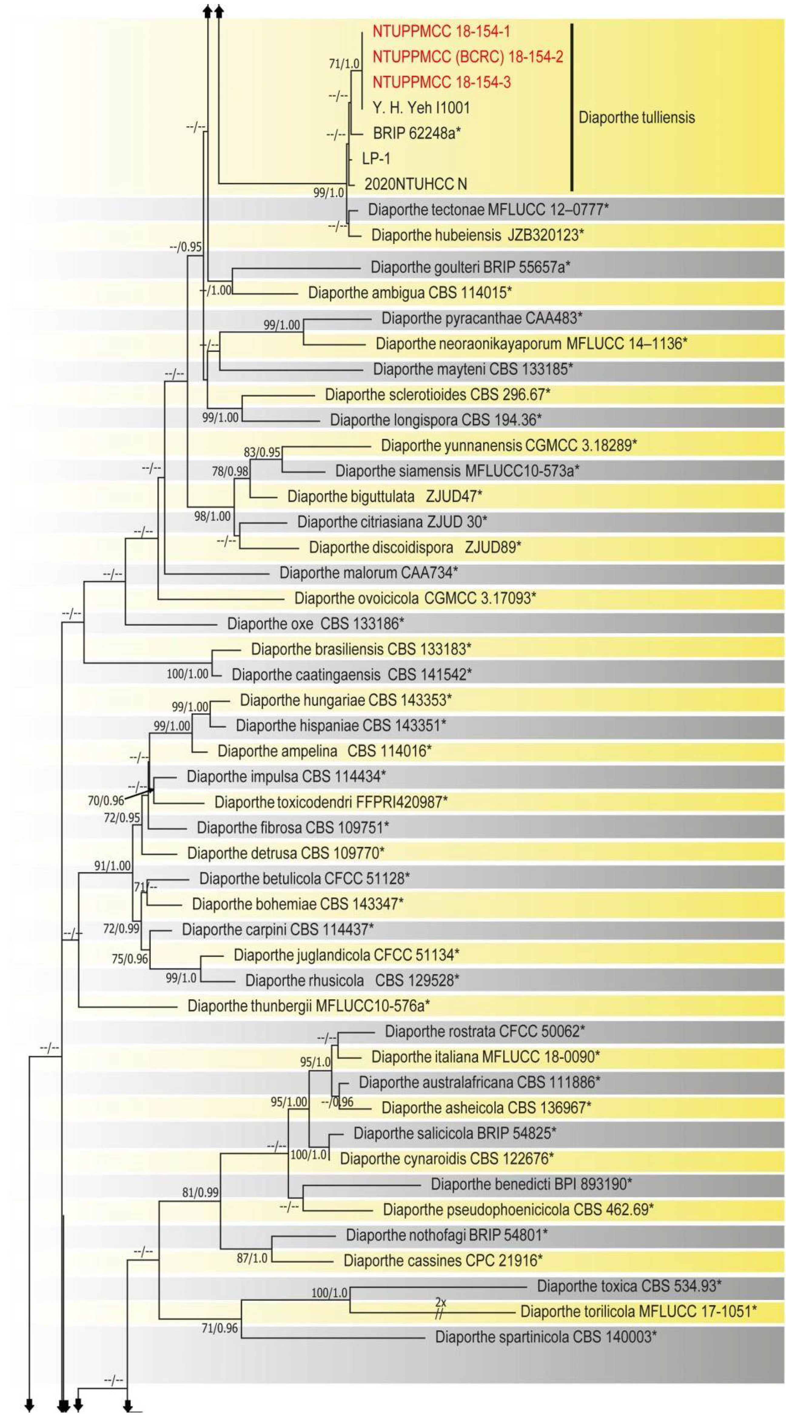Plants 10 01434 g002b 550