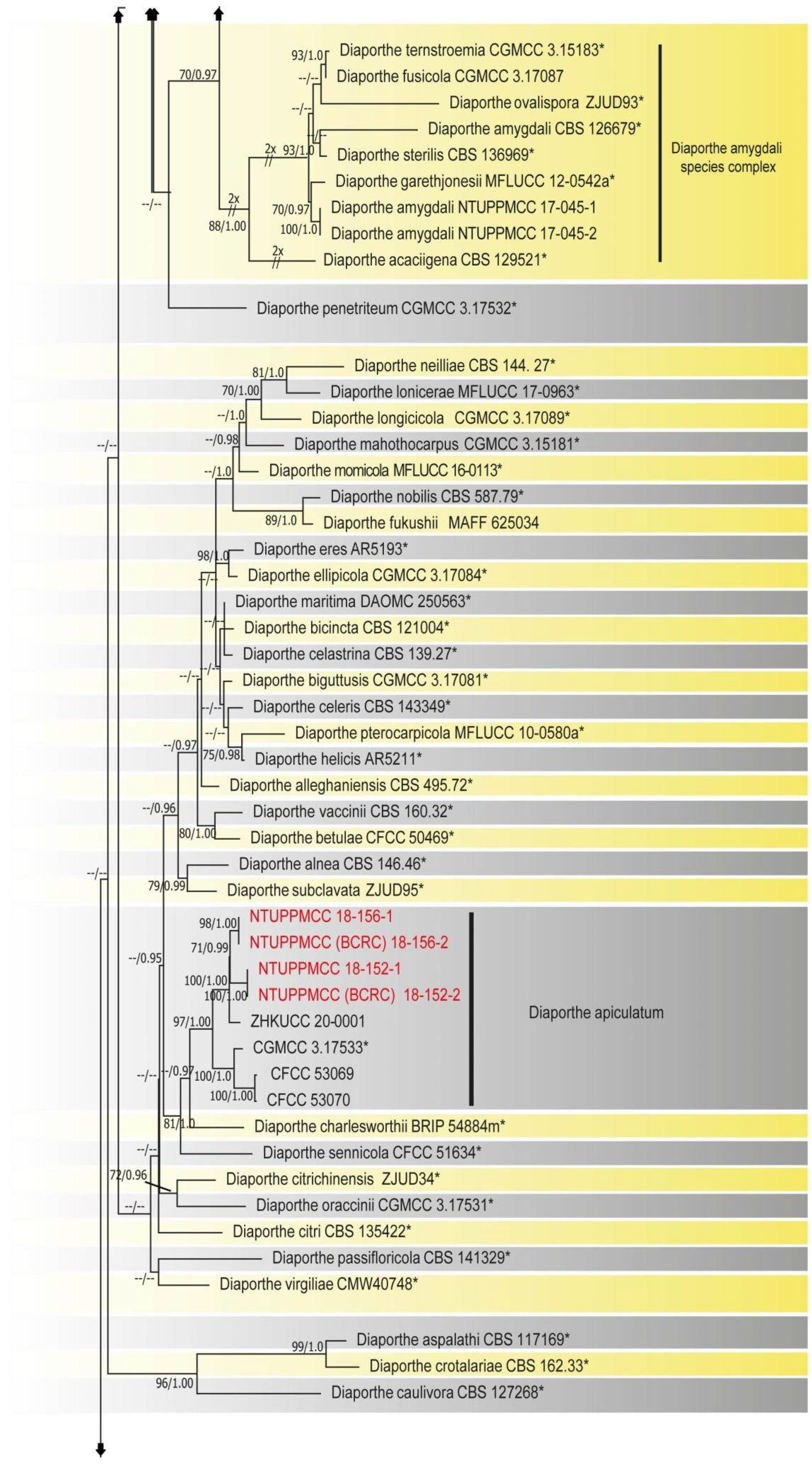 Plants 10 01434 g002c 550