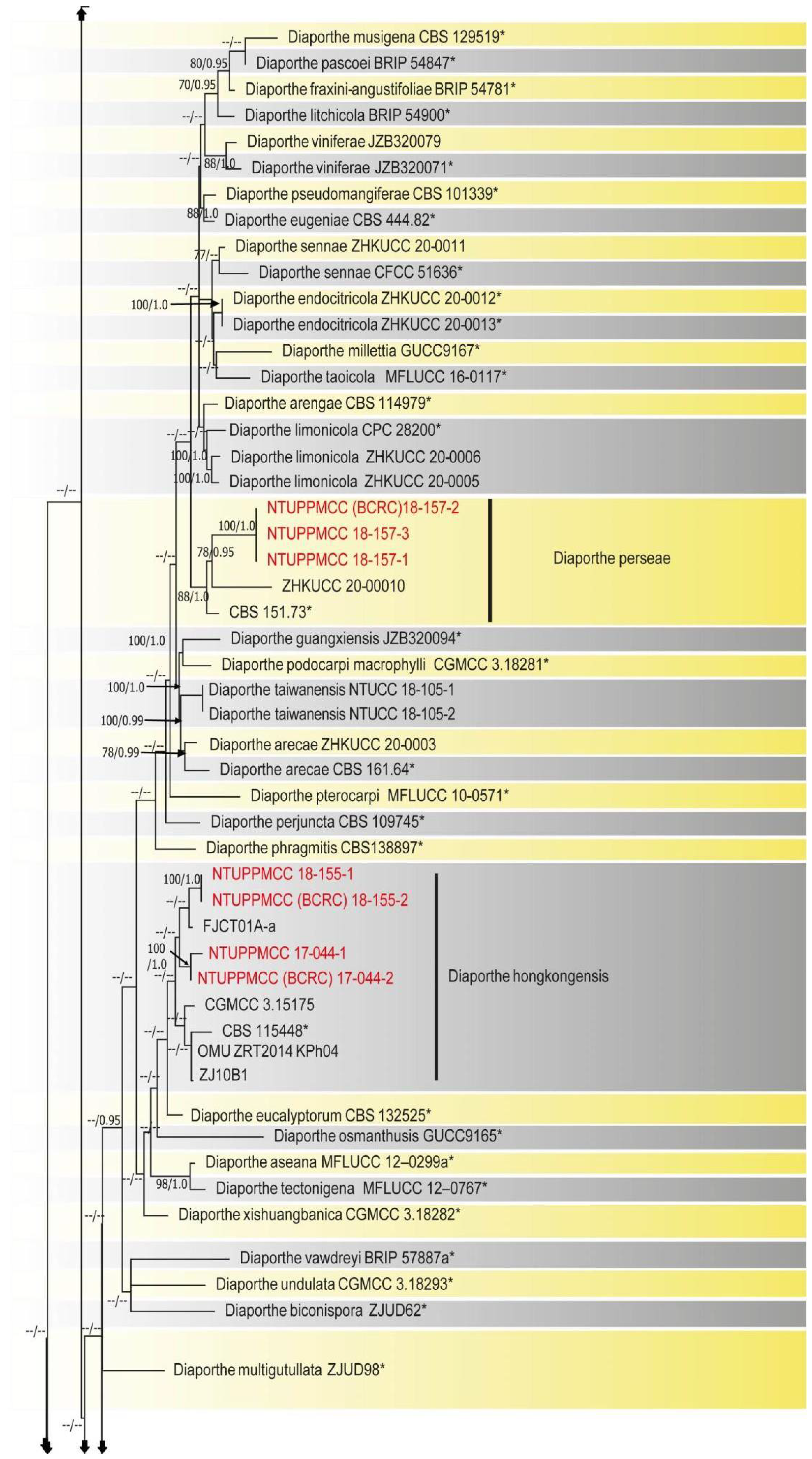 Plants 10 01434 g002d 550