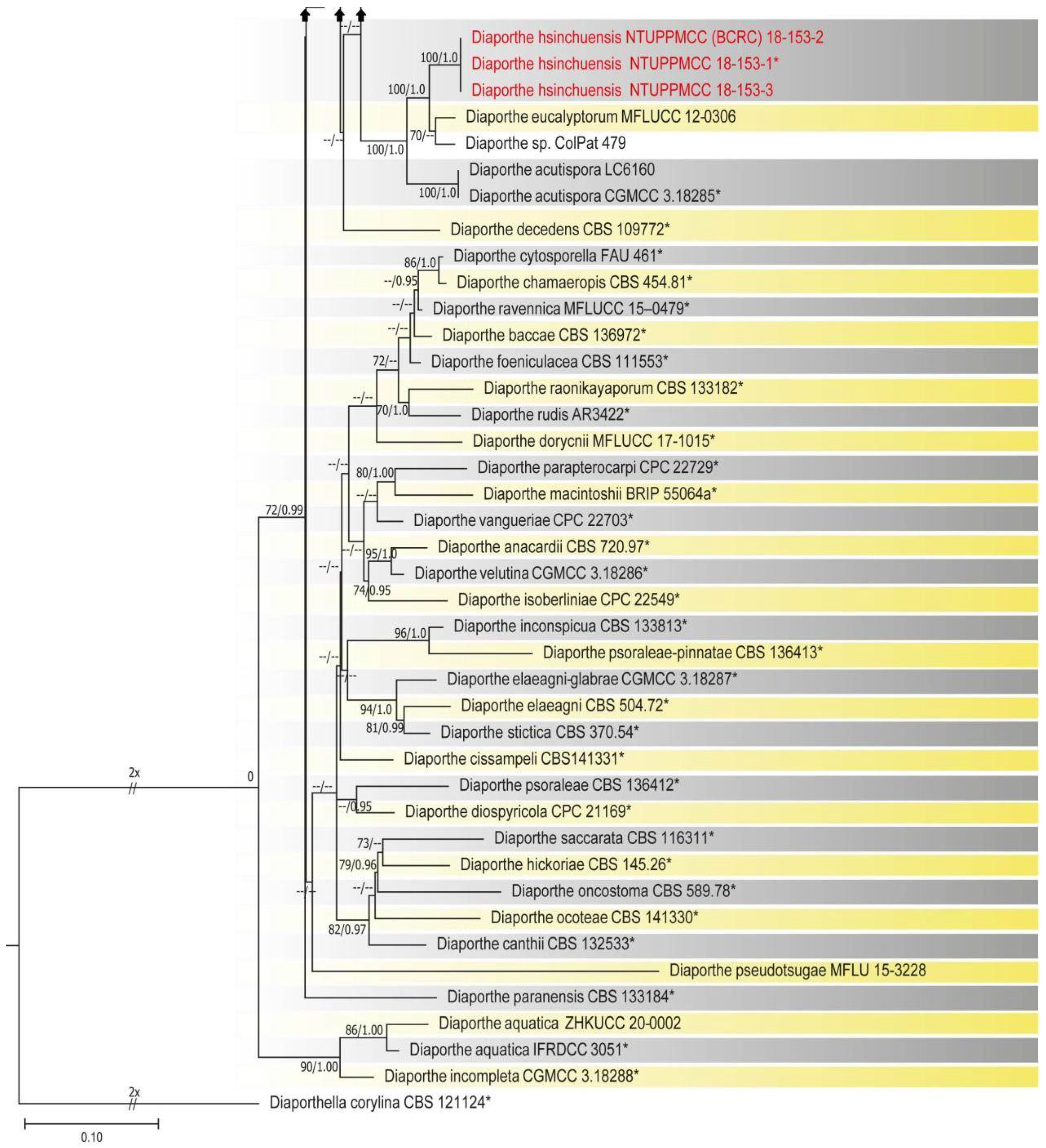 Plants 10 01434 g002e 550