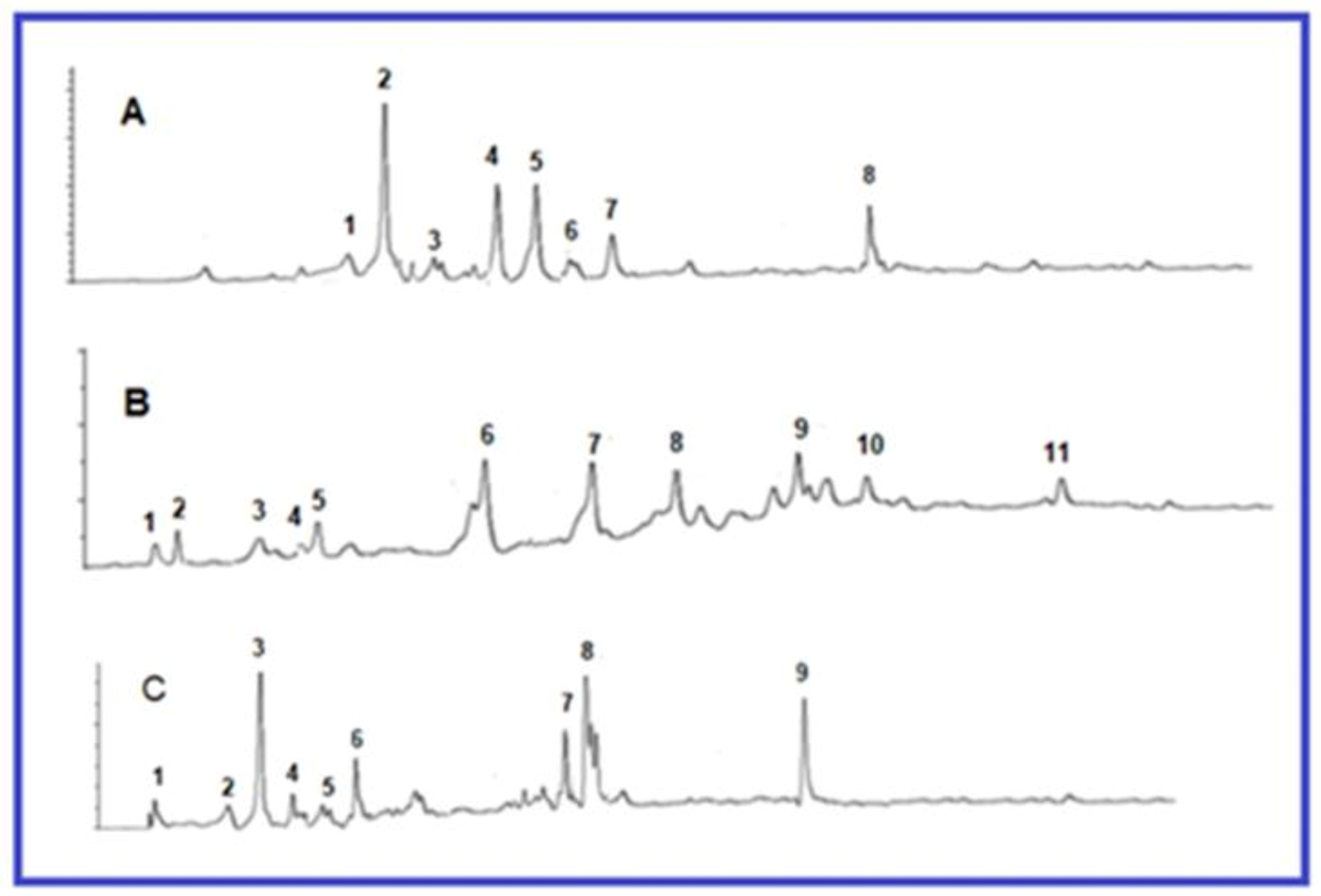 Plants 10 01438 g001 Plants 10 01438 g001