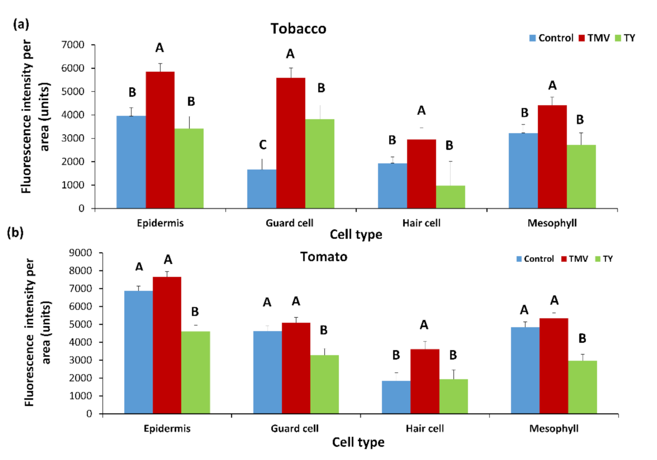 Plants 10 01442 g007