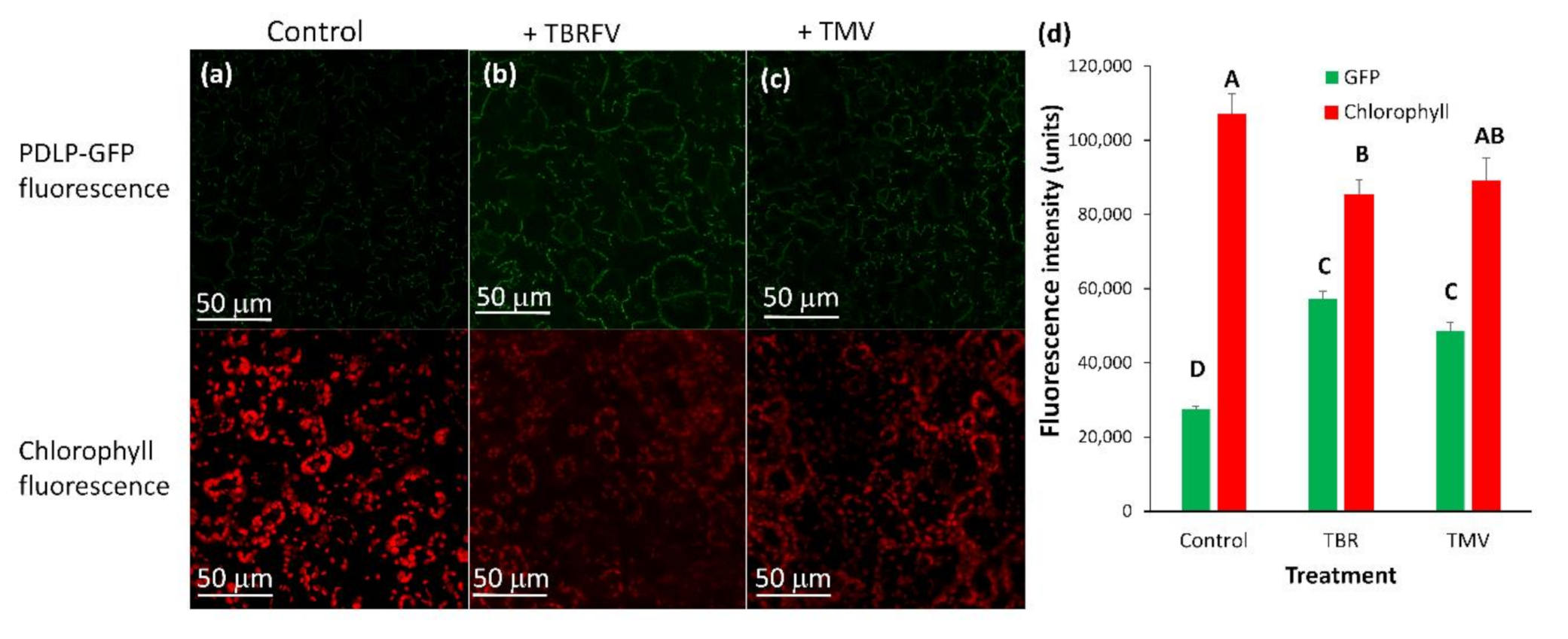Plants 10 01442 g008