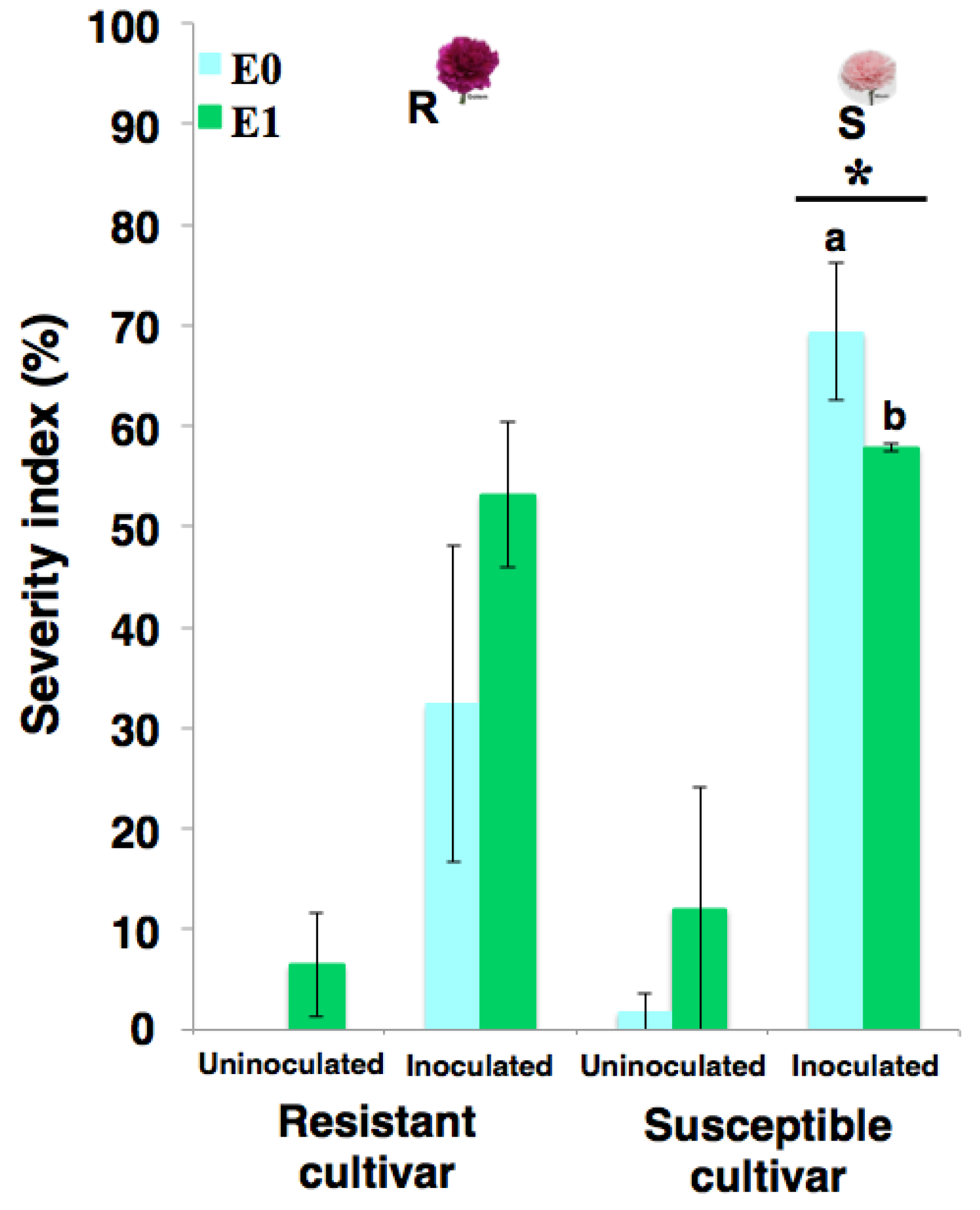 Plants 10 01447 g001 Plants 10 01447 g001
