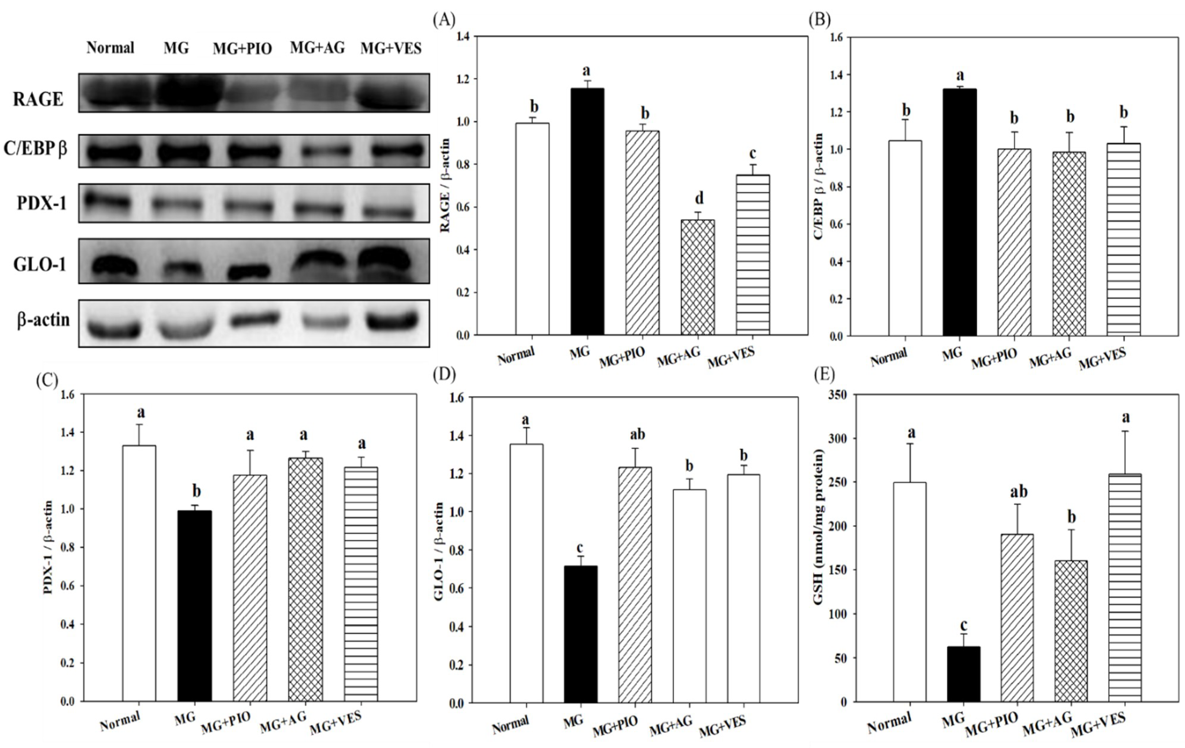 Plants 10 01448 g002 550