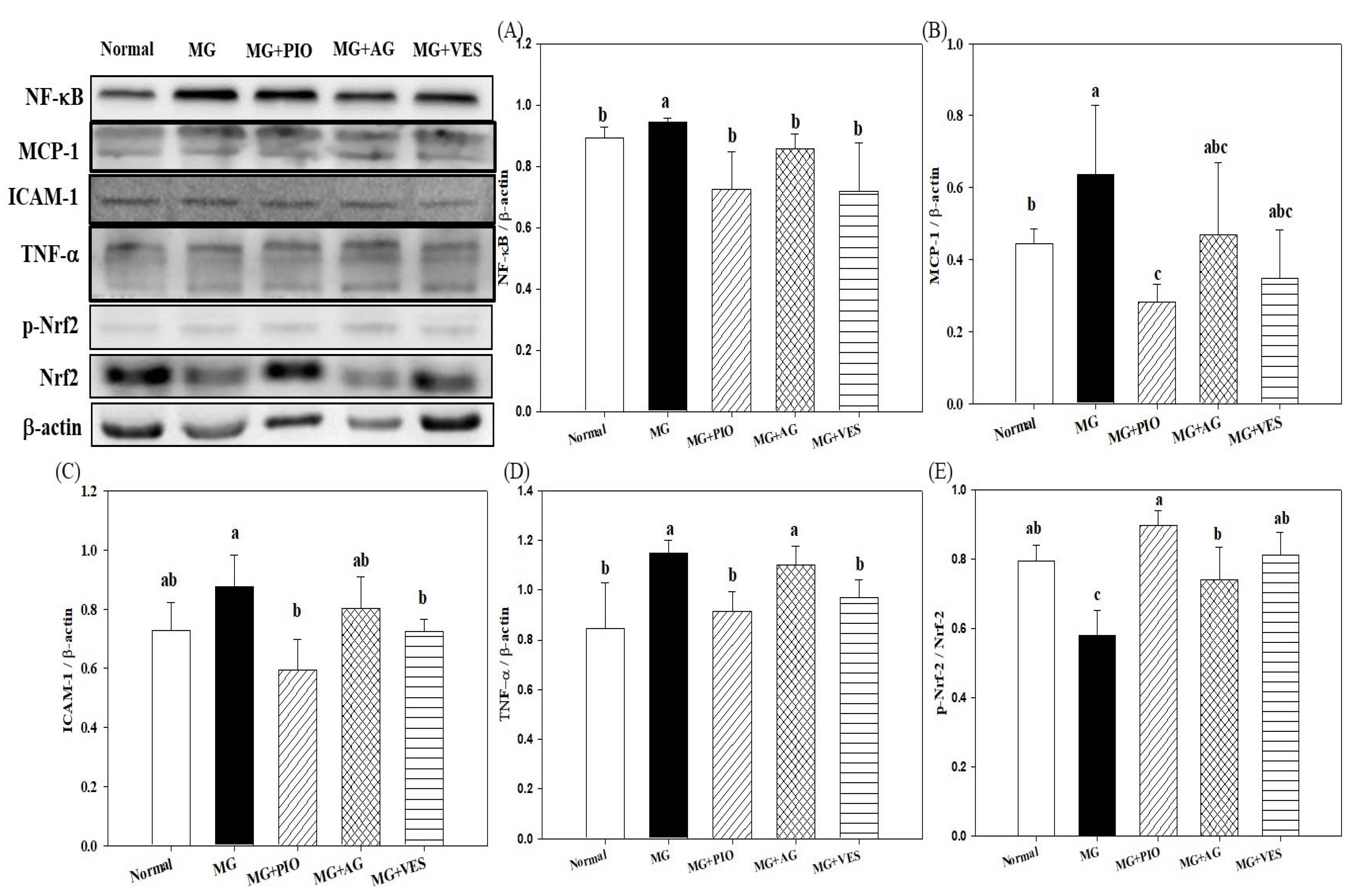 Plants 10 01448 g003 550