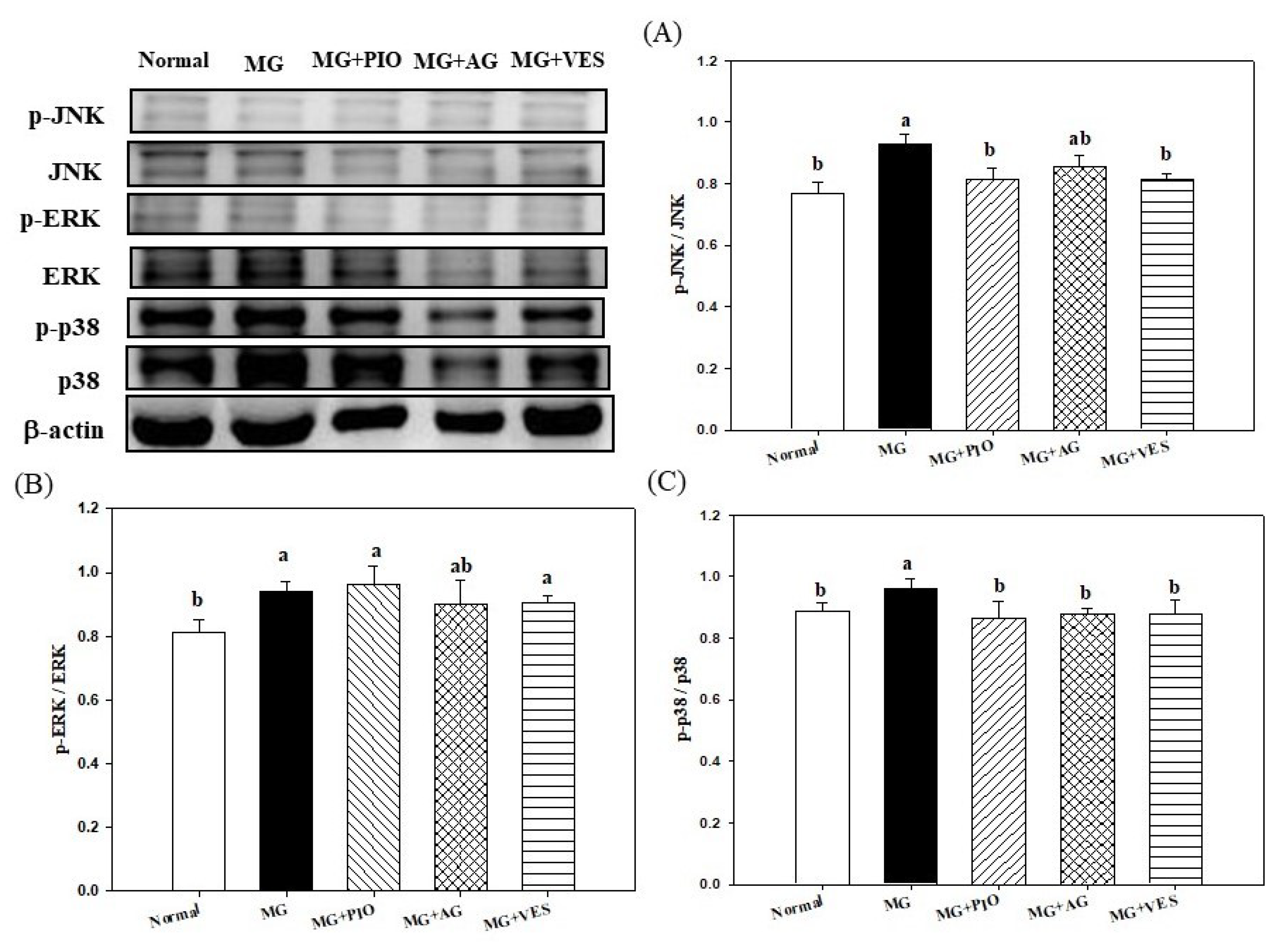 Plants 10 01448 g005 550