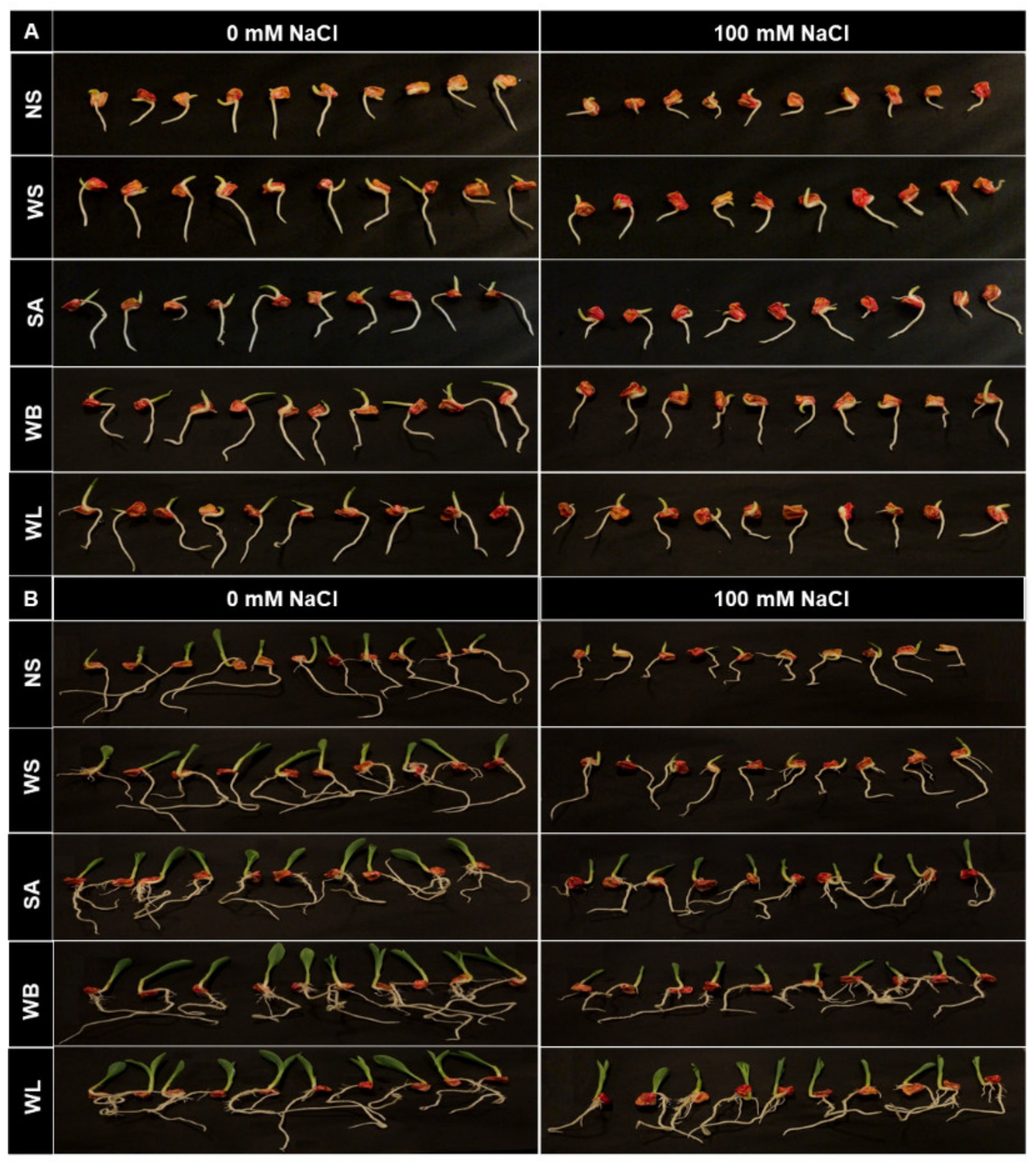 Plants 10 01449 g001 Plants 10 01449 g001