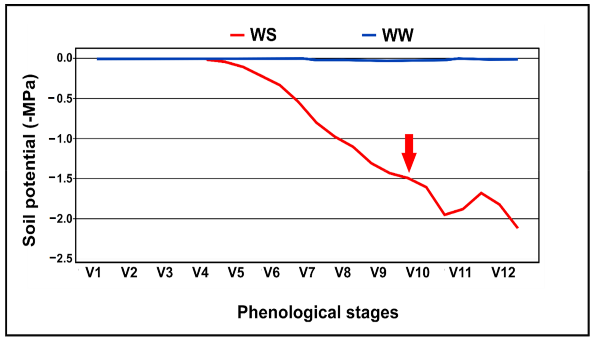 Plants 10 01450 g004 550