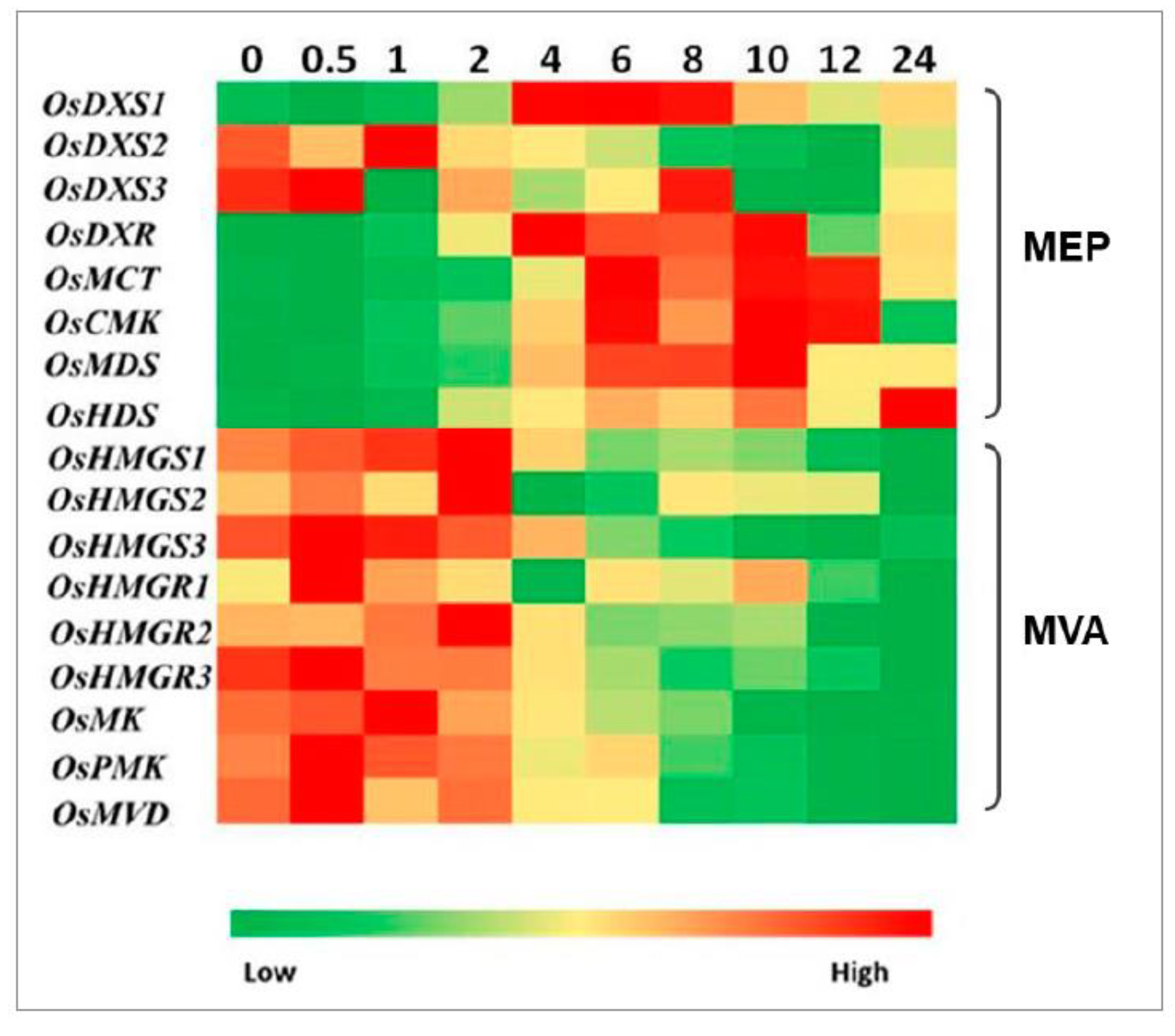 Plants 10 01456 g003 550