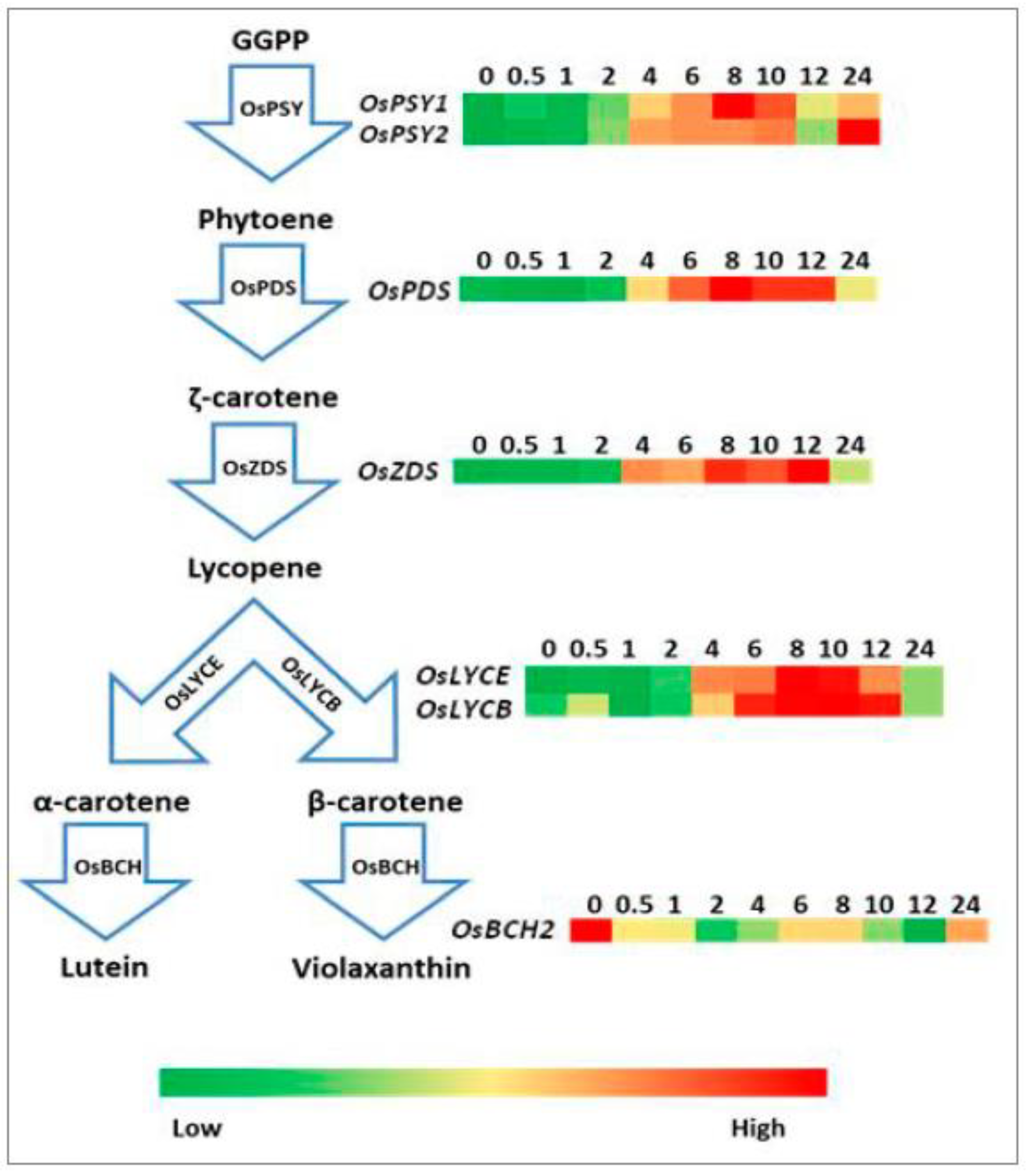 Plants 10 01456 g004 550
