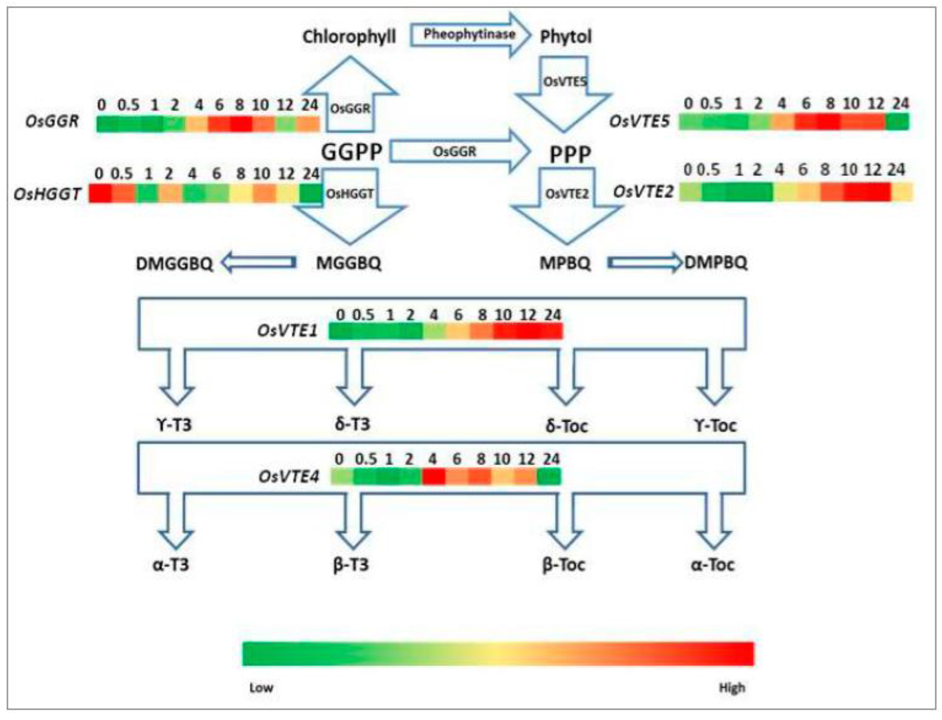Plants 10 01456 g005 550
