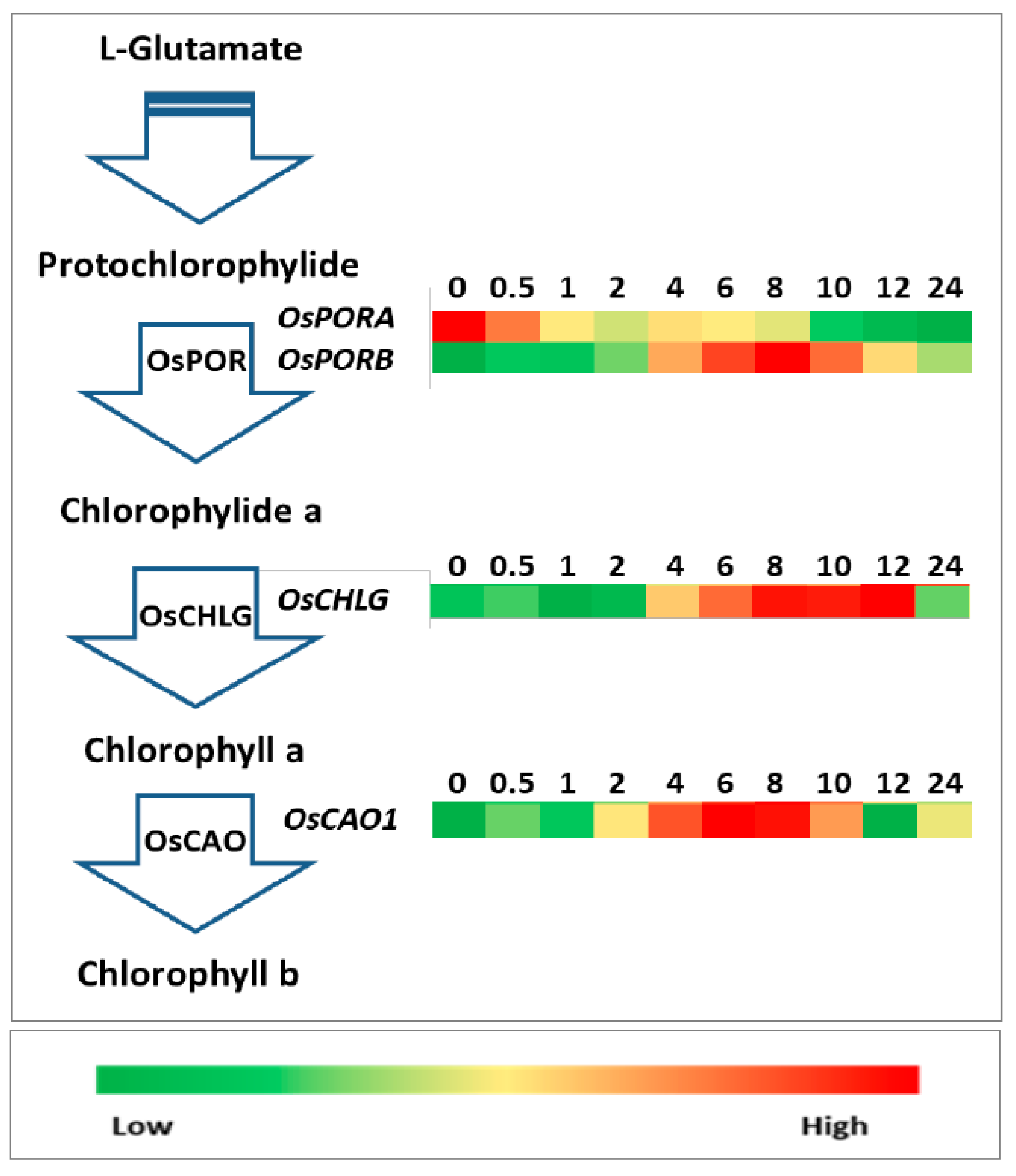 Plants 10 01456 g006 550