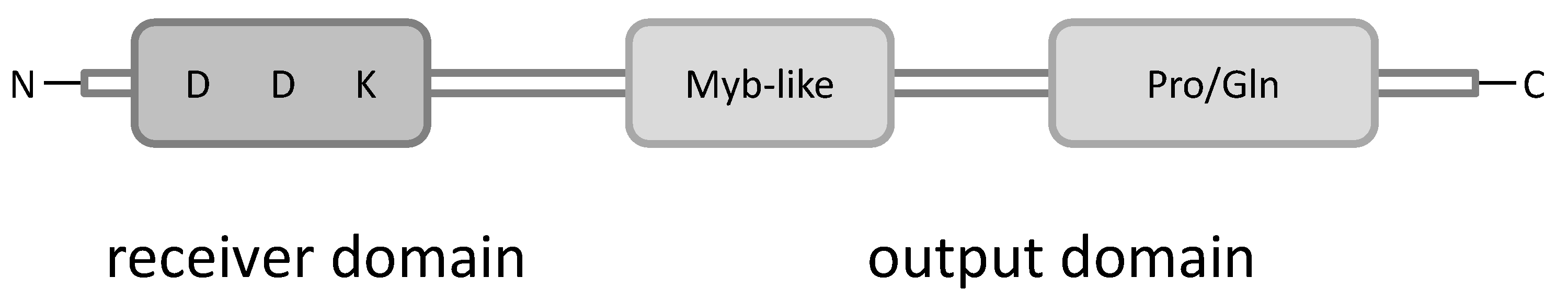 Plants 10 01458 g001