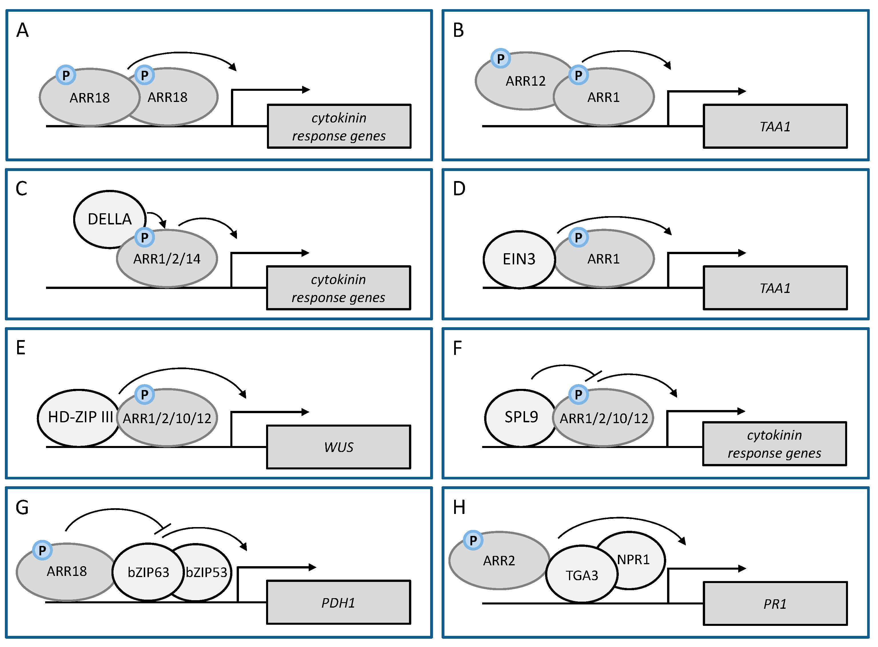 Plants 10 01458 g002