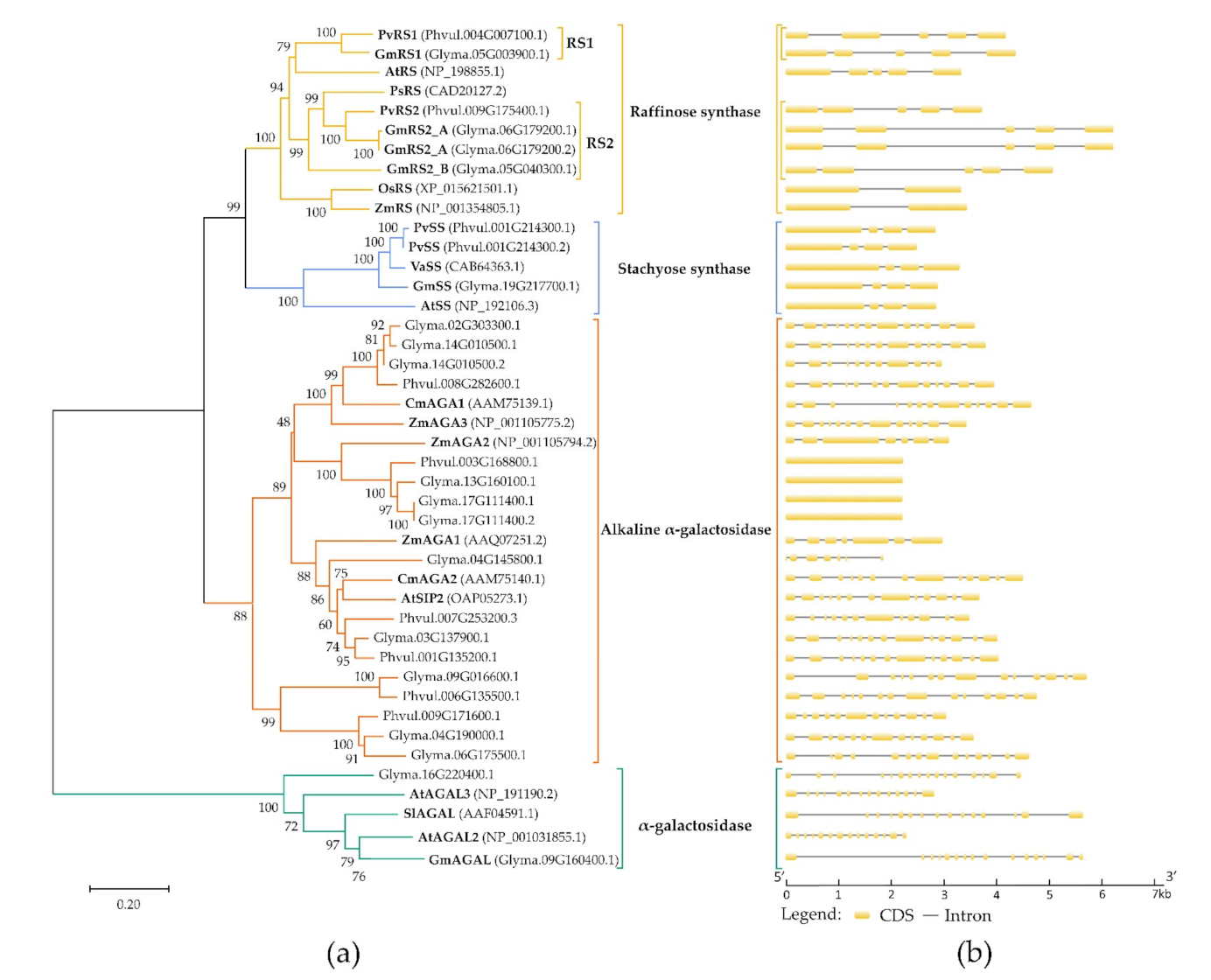 Plants 10 01465 g002 550