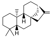 Plants 10 01468 i007 Plants 10 01468 i007