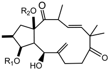 Plants 10 01468 i014 Plants 10 01468 i014