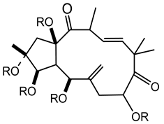 Plants 10 01468 i015 Plants 10 01468 i015
