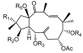 Plants 10 01468 i016 Plants 10 01468 i016