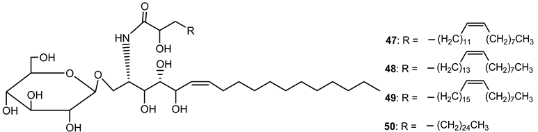 Plants 10 01468 i017 Plants 10 01468 i017