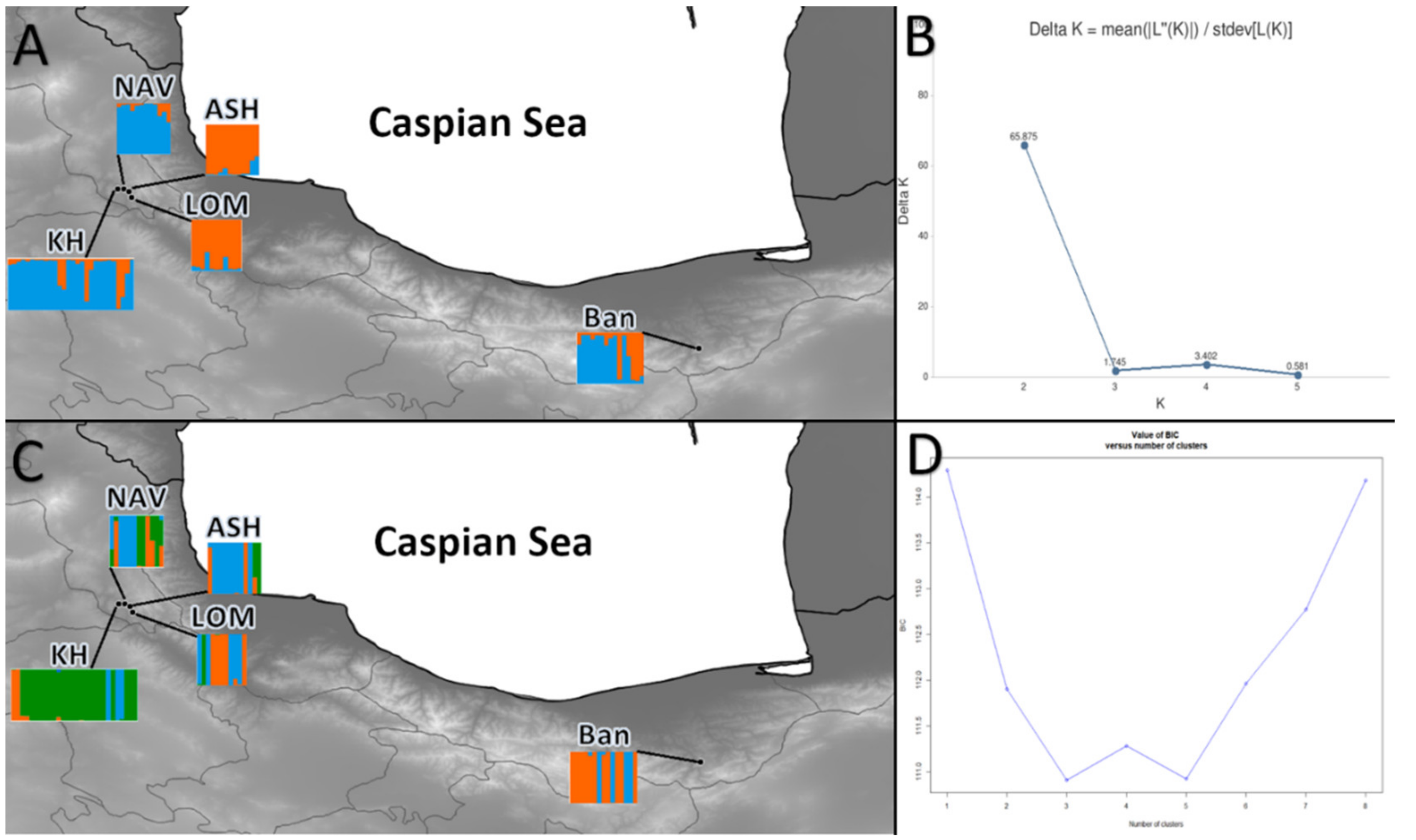 Plants 10 01471 g002 Plants 10 01471 g002