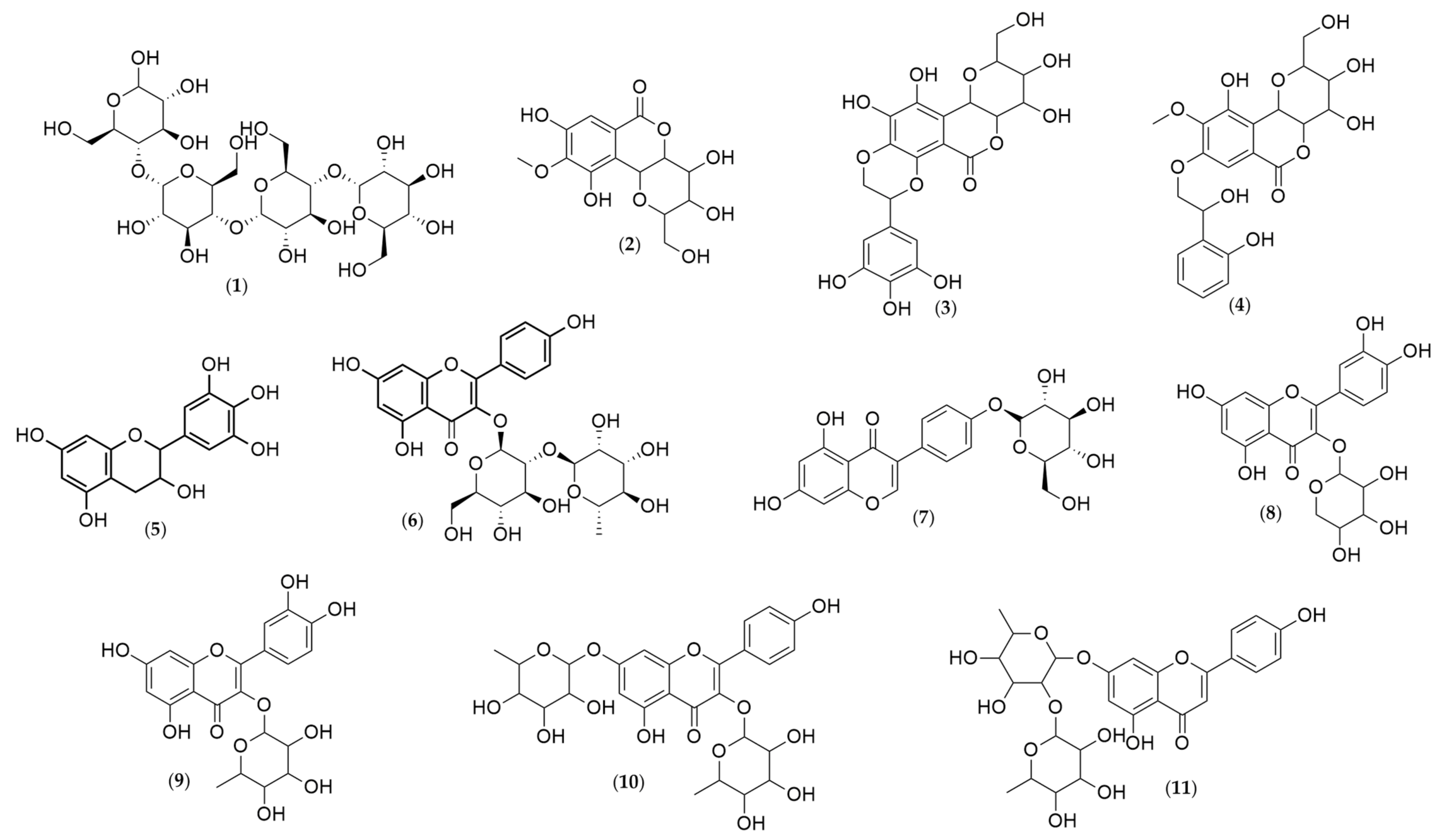 Plants 10 01479 g003