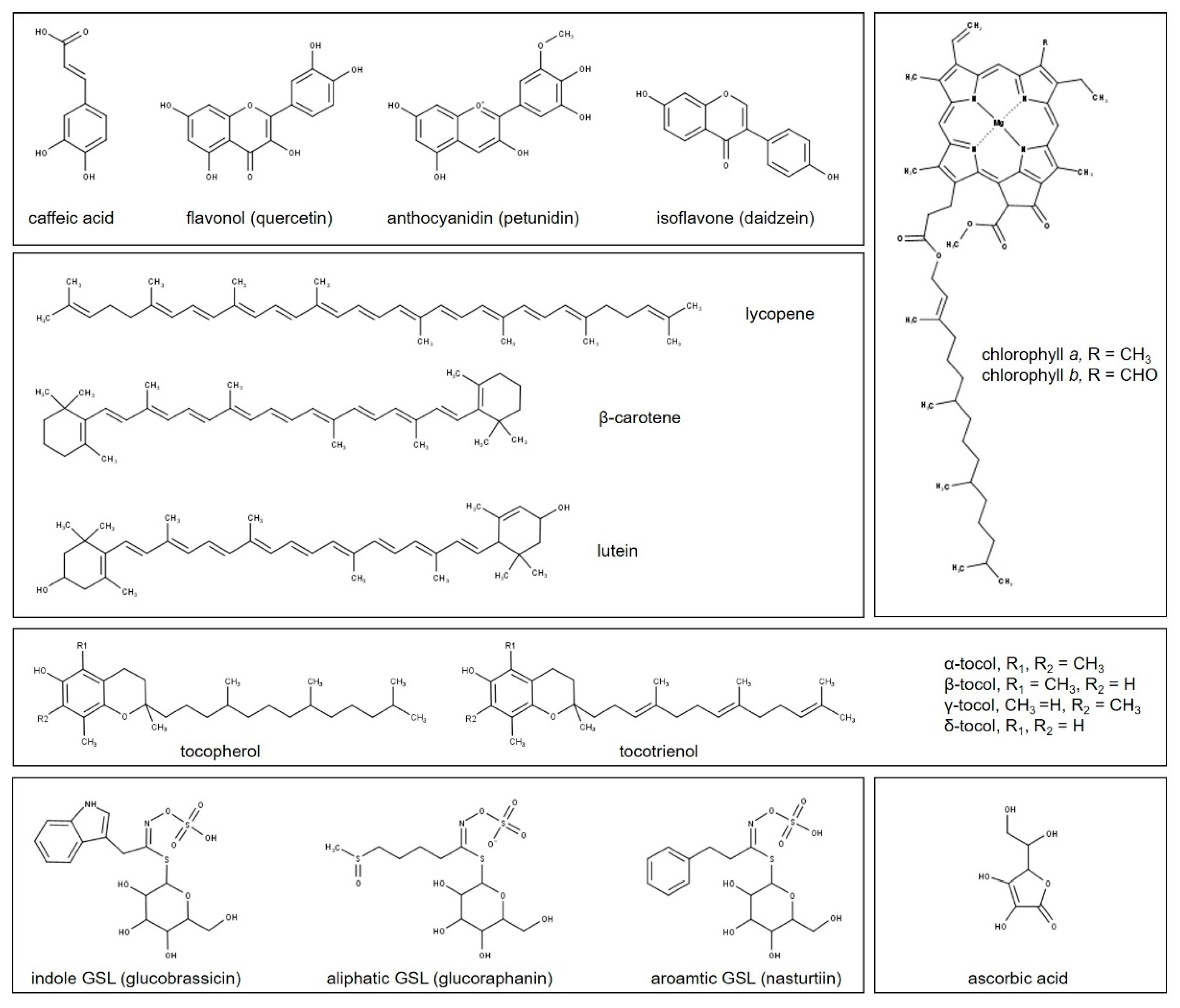 Plants 10 01485 g003