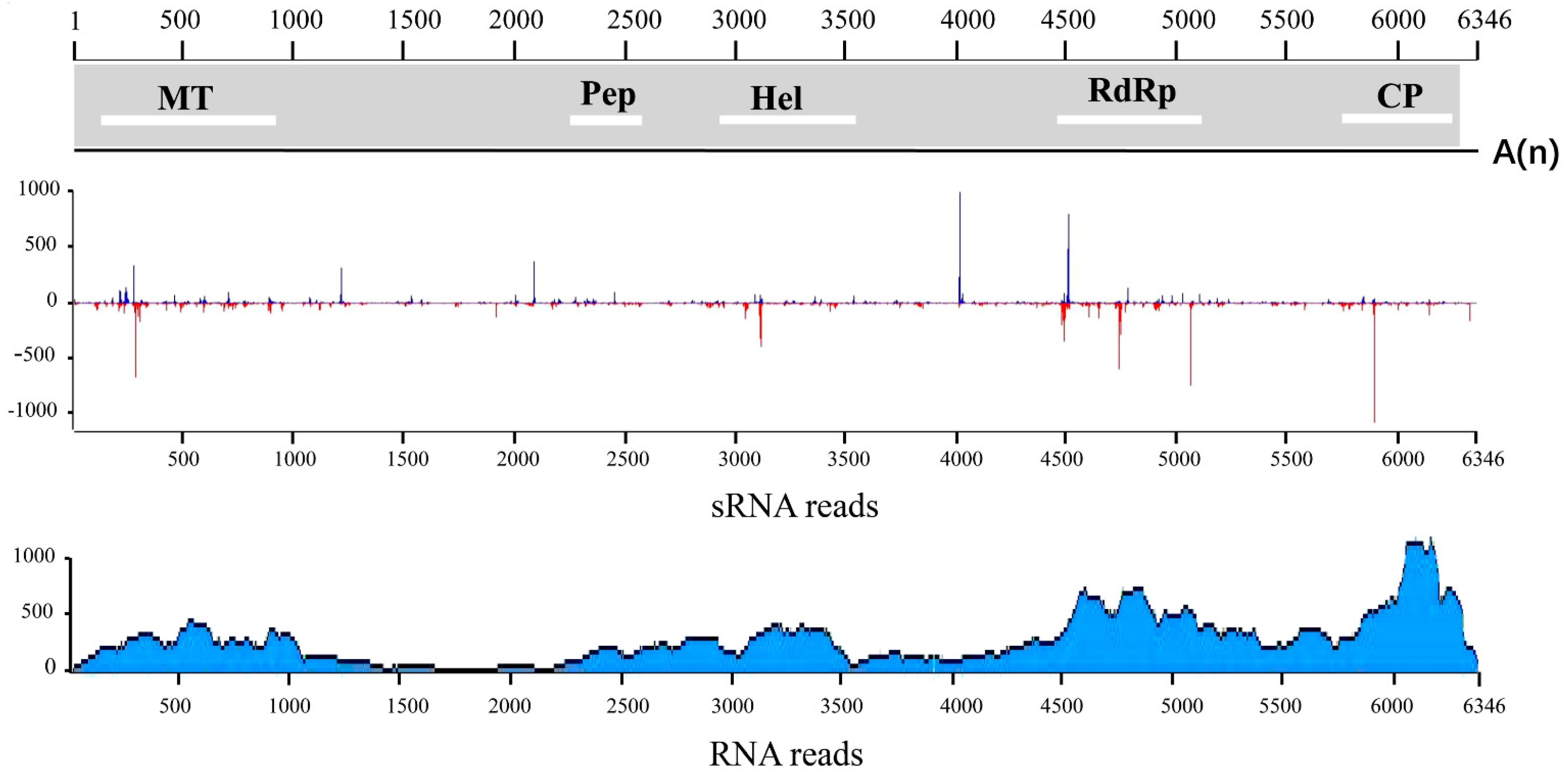 Plants 10 01487 g001