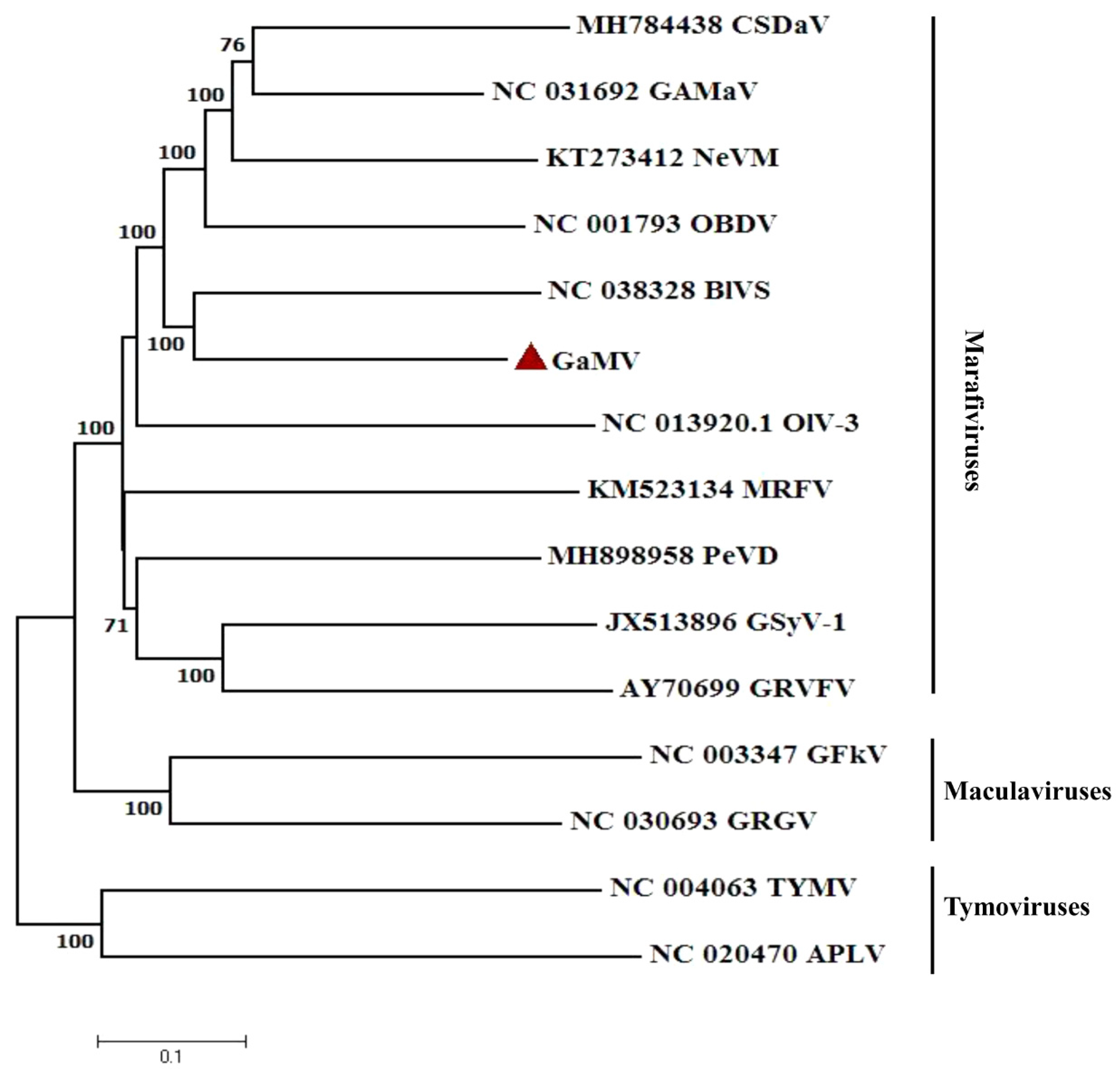 Plants 10 01487 g002