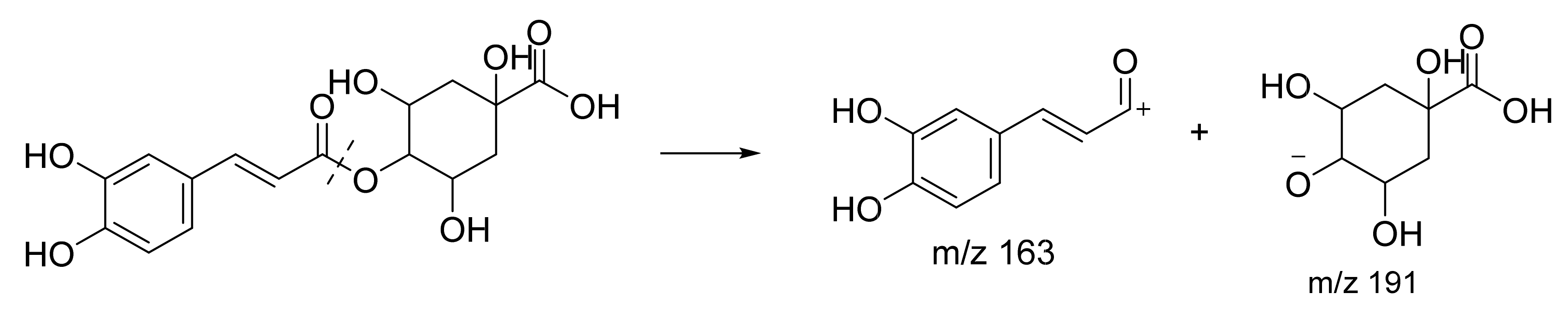Plants 10 01488 g004