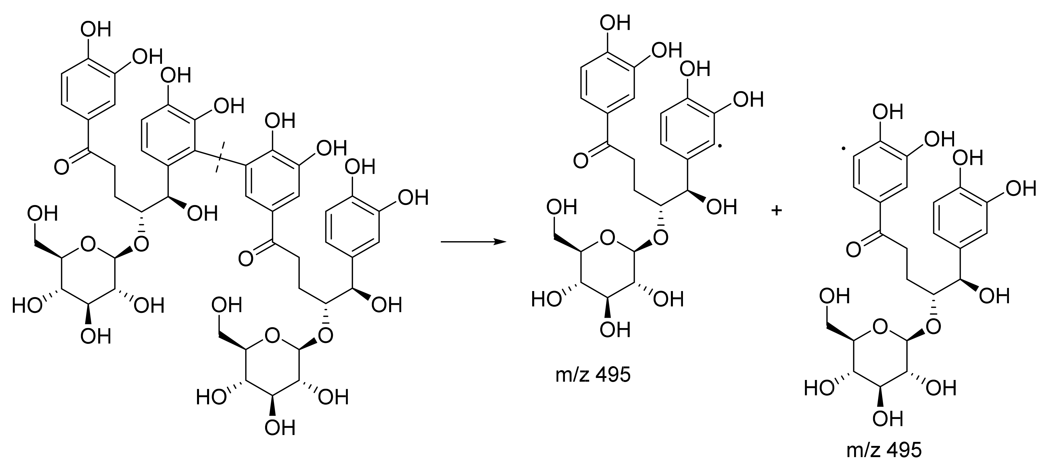Plants 10 01488 g007