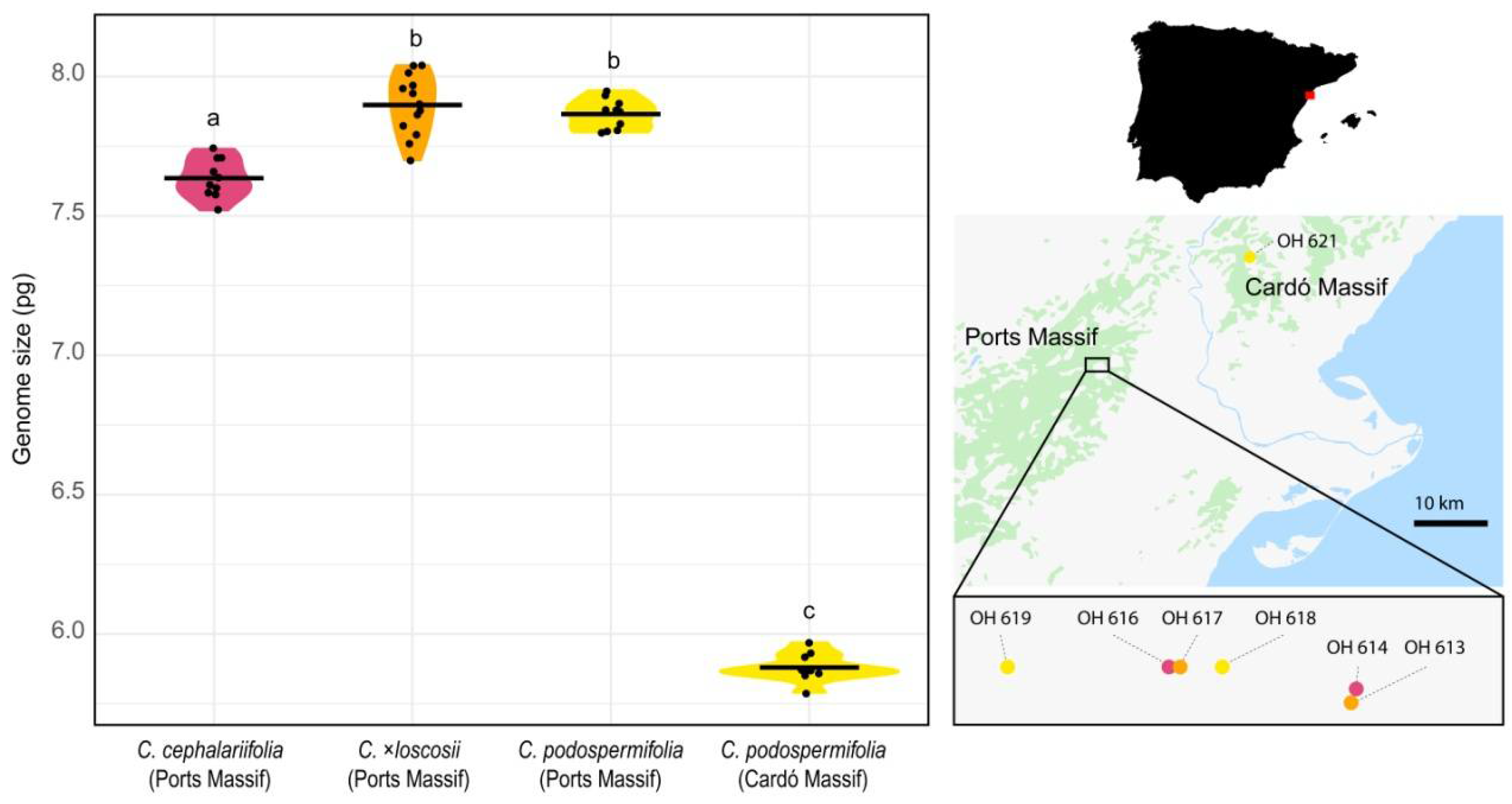 Plants 10 01492 g003 550