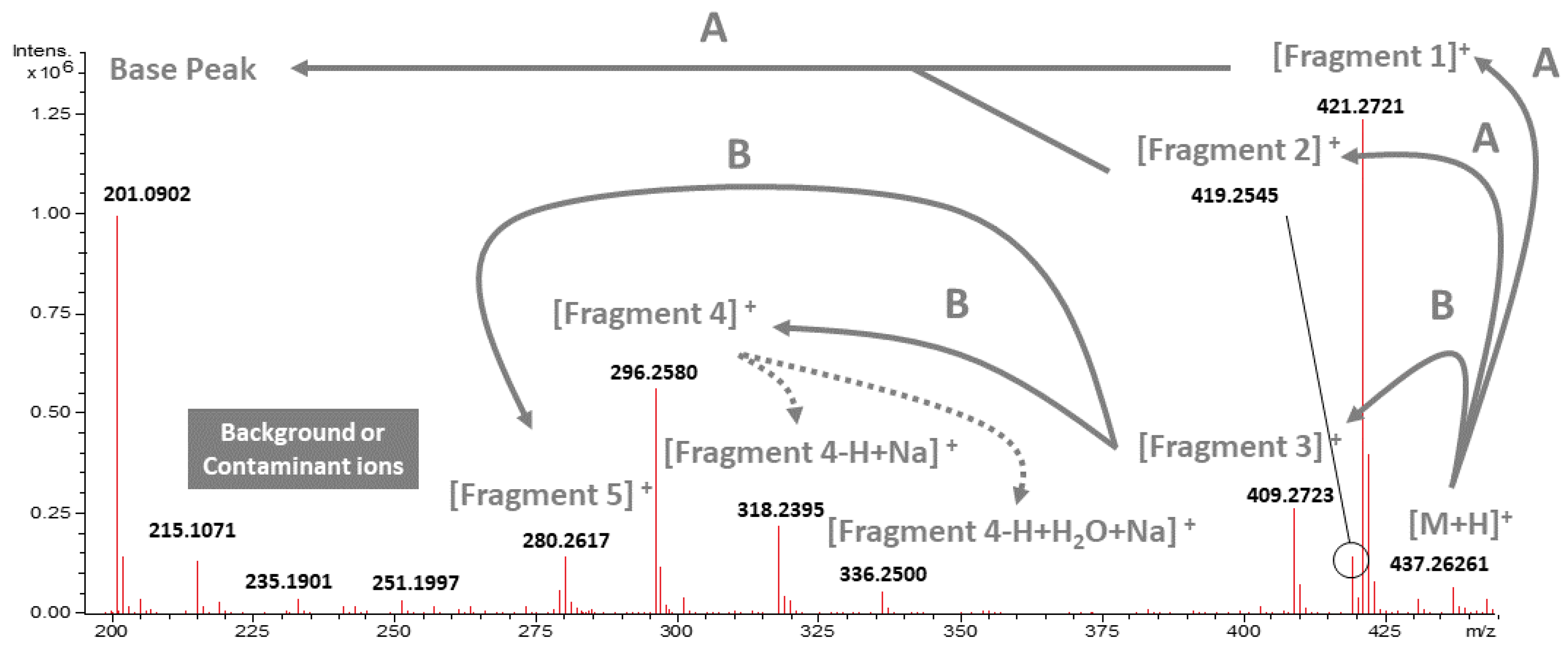 Plants 10 01493 g001