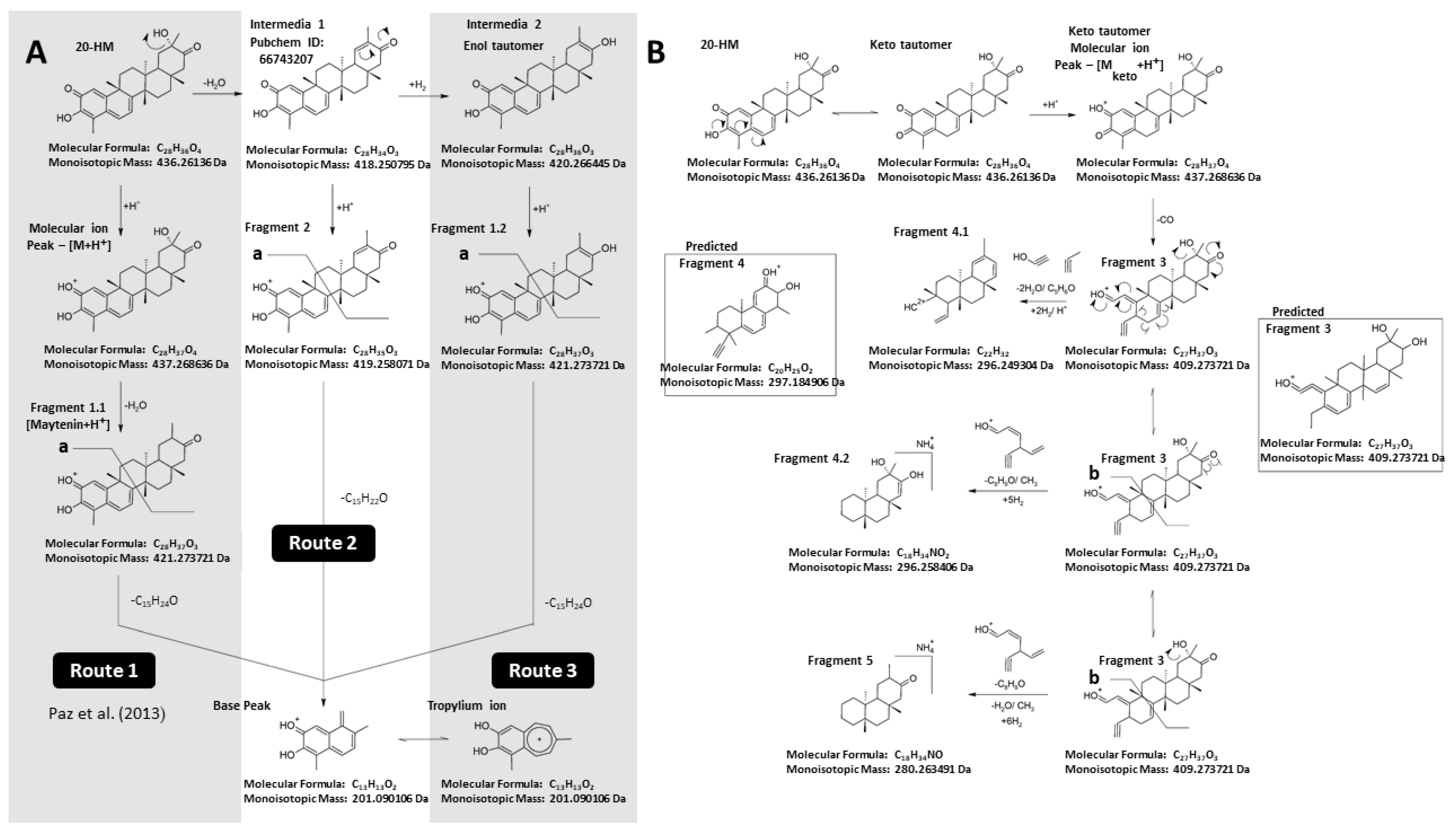 Plants 10 01493 g002
