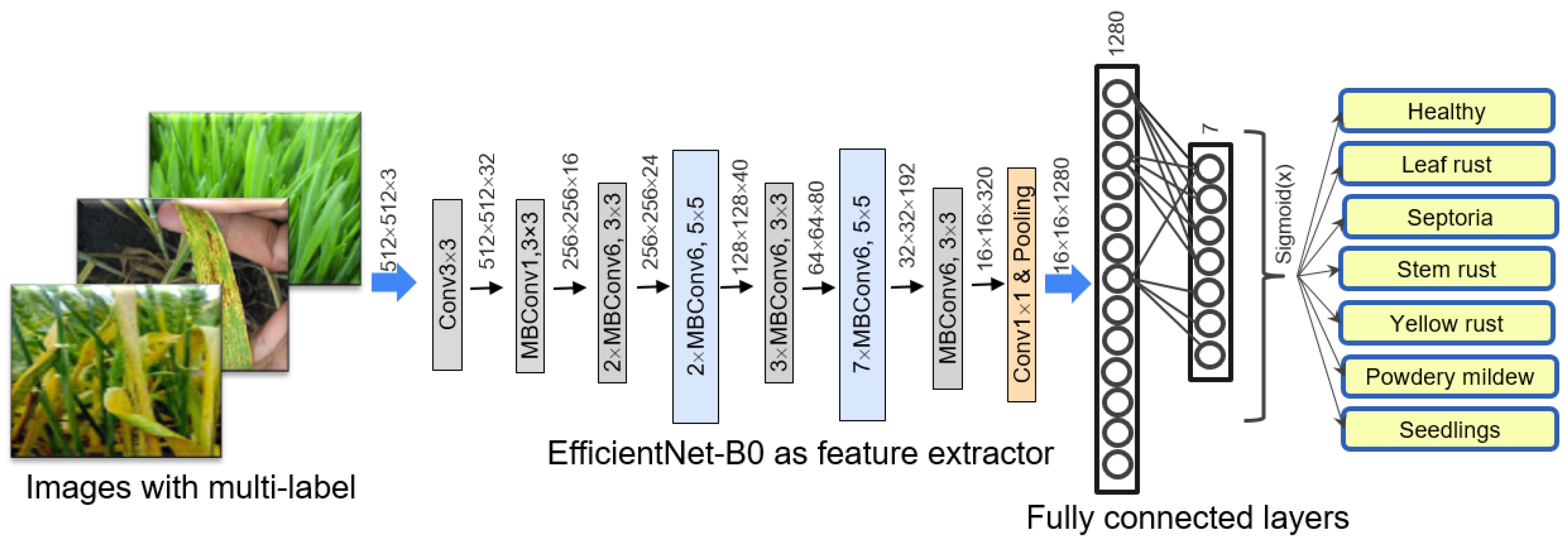 Plants 10 01500 g003 550