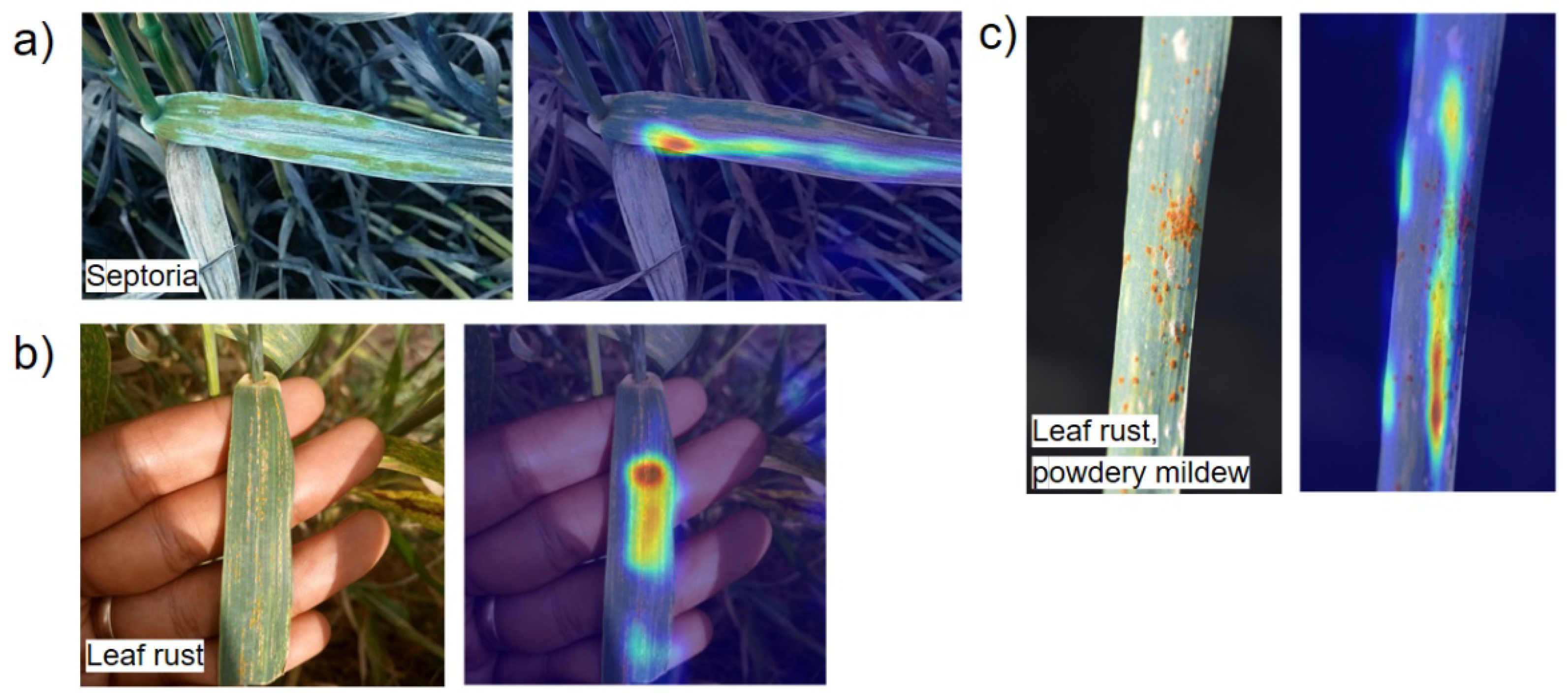 Plants 10 01500 g008 550