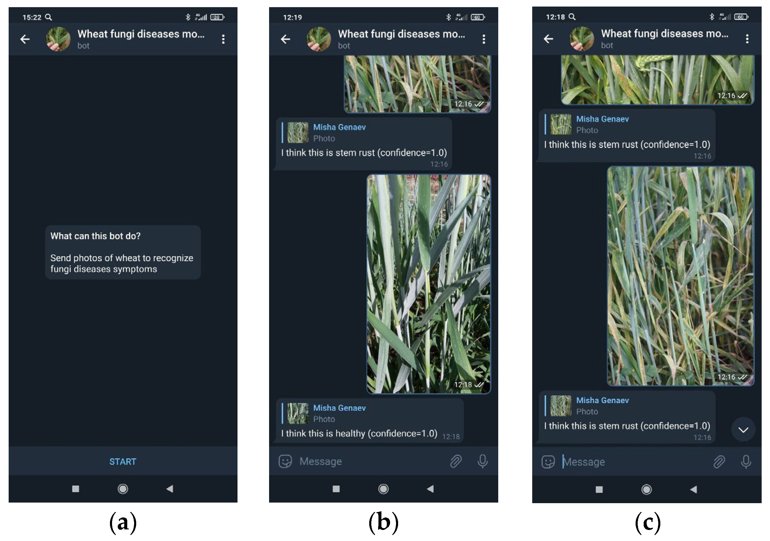 Plants 10 01500 g011 550