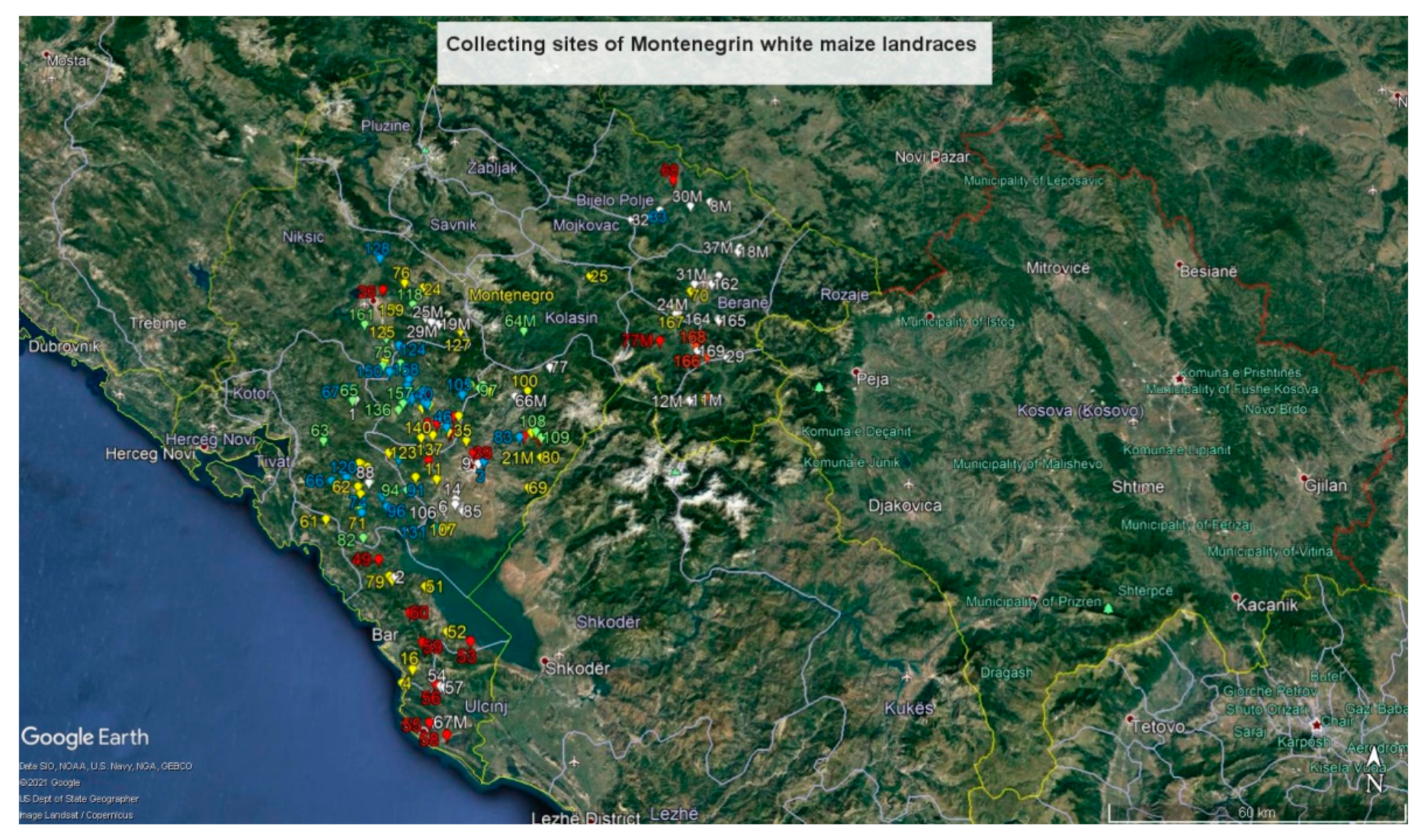 Plants 10 01503 g003 Plants 10 01503 g003