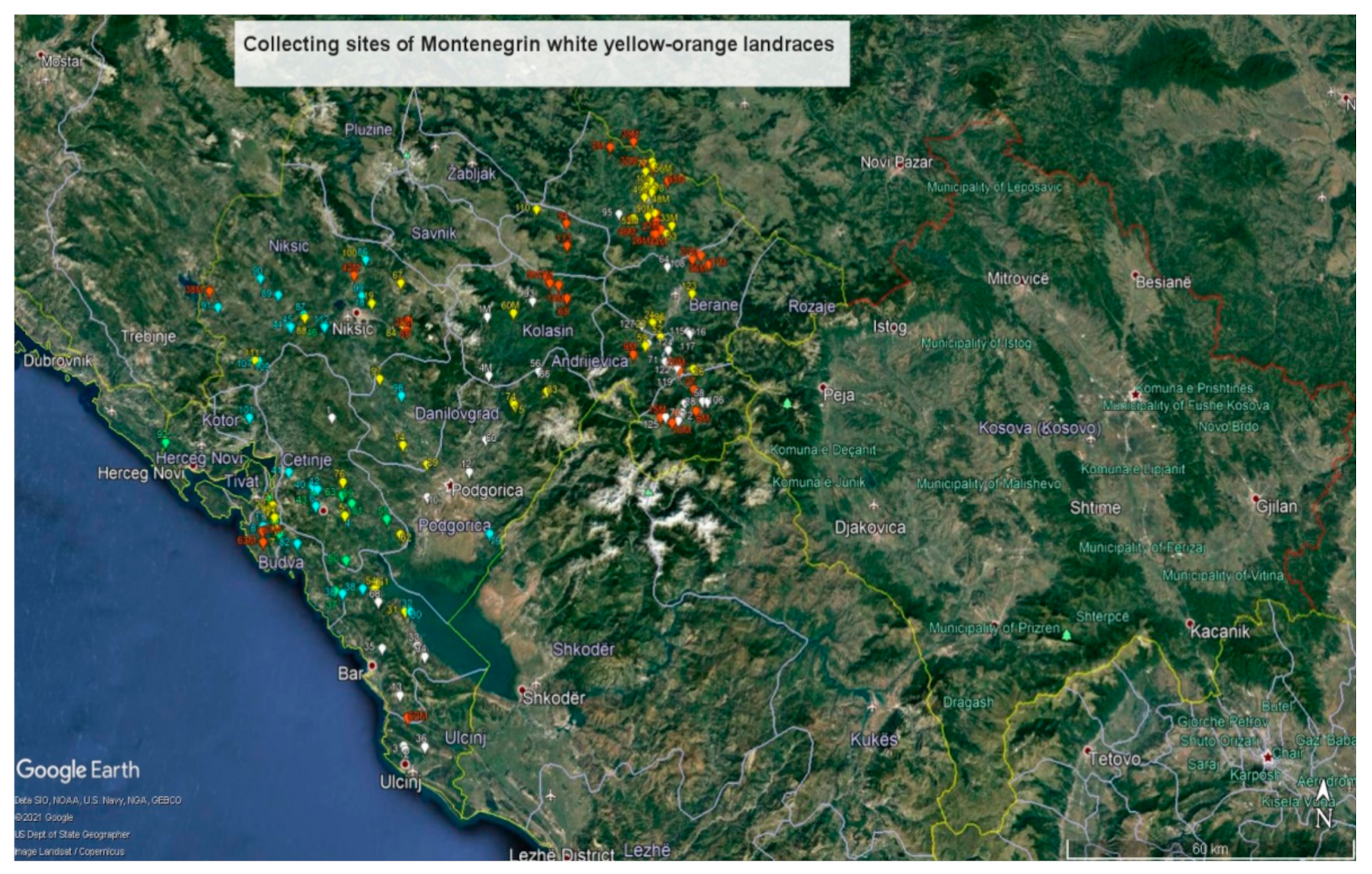 Plants 10 01503 g006 Plants 10 01503 g006