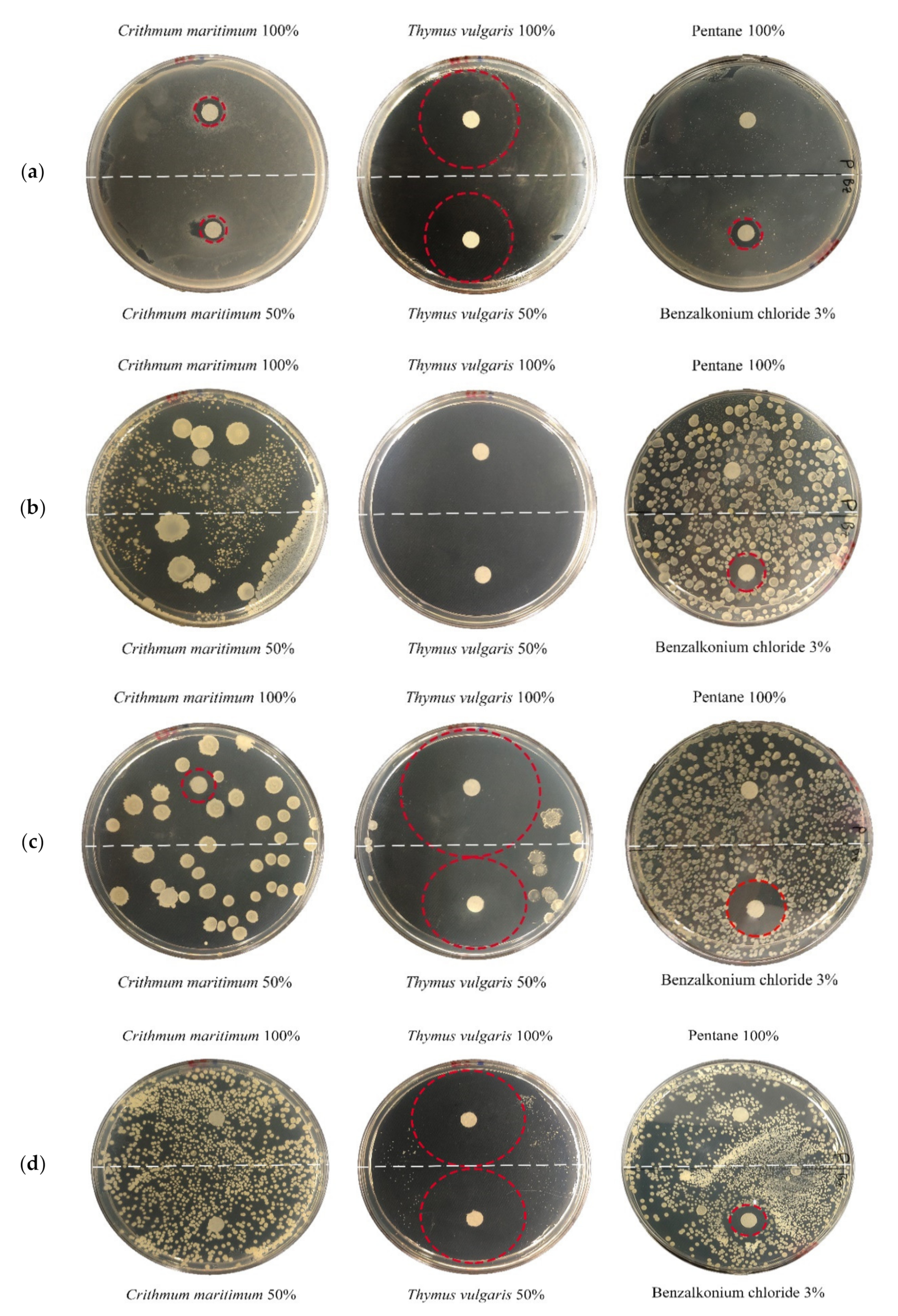 Plants 10 01508 g001