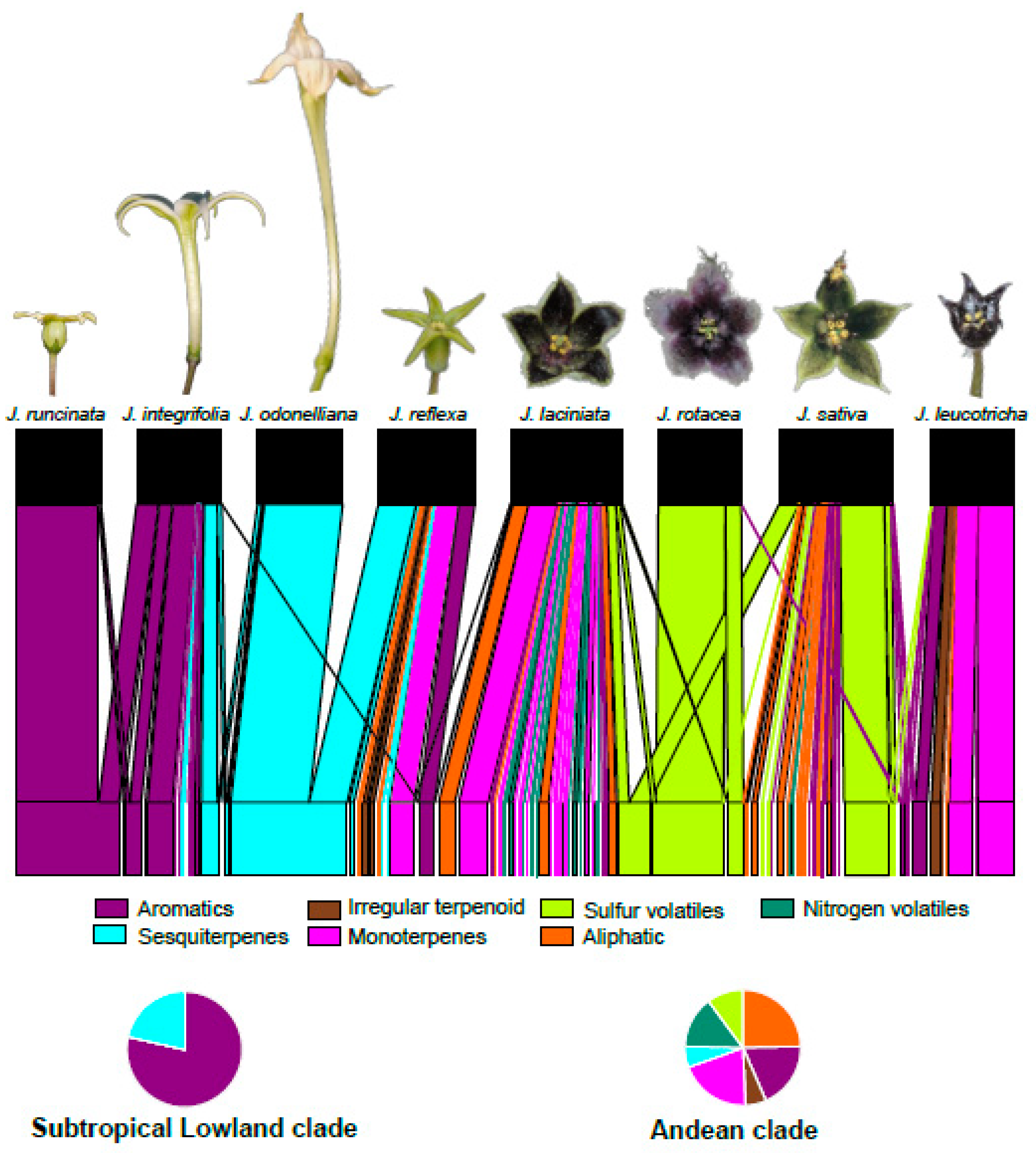 Plants 10 01512 g002 Plants 10 01512 g002
