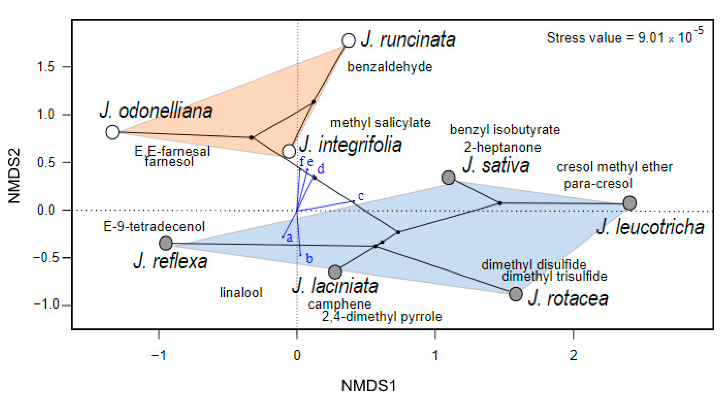 Plants 10 01512 g003 Plants 10 01512 g003