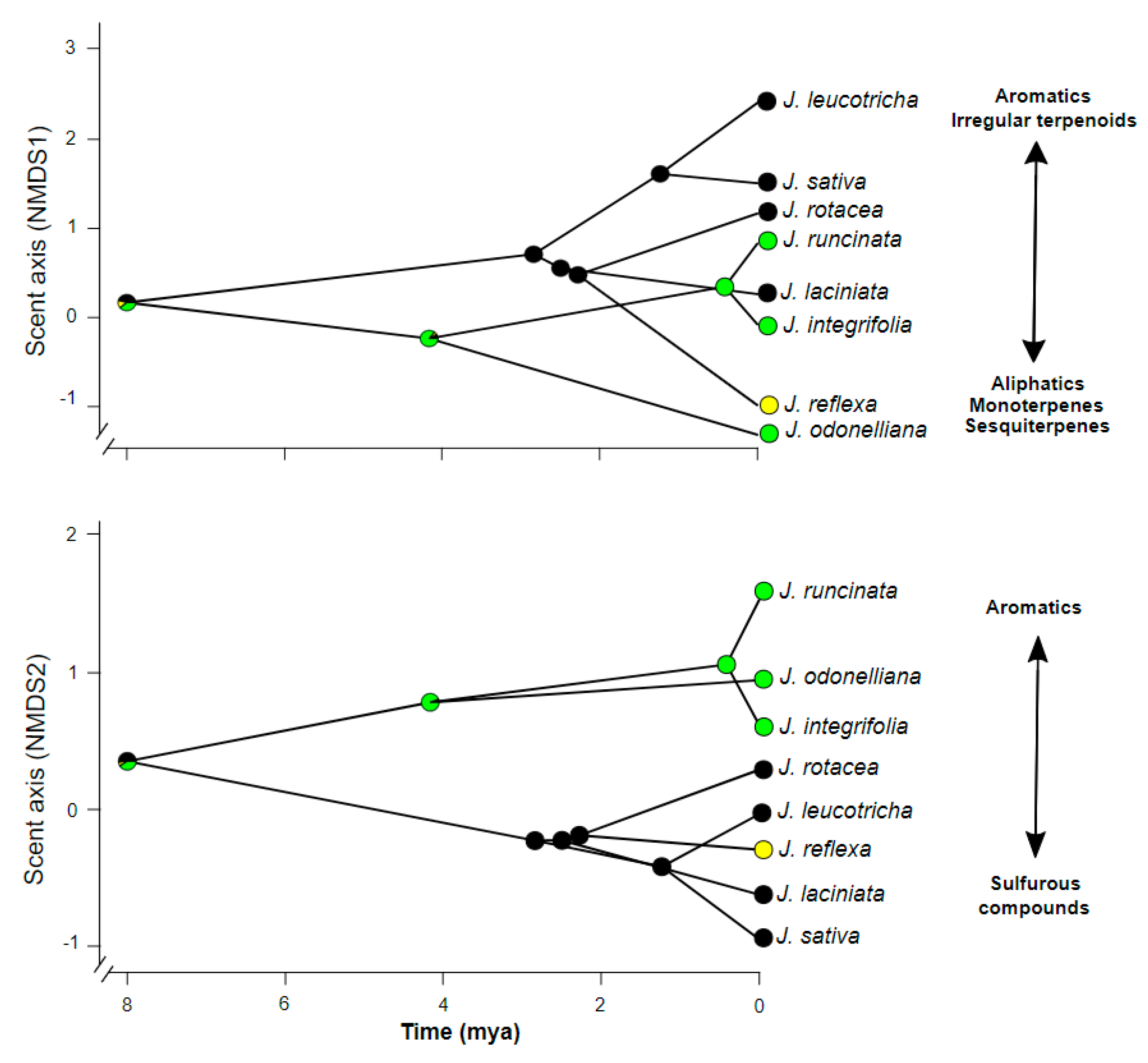 Plants 10 01512 g004 Plants 10 01512 g004