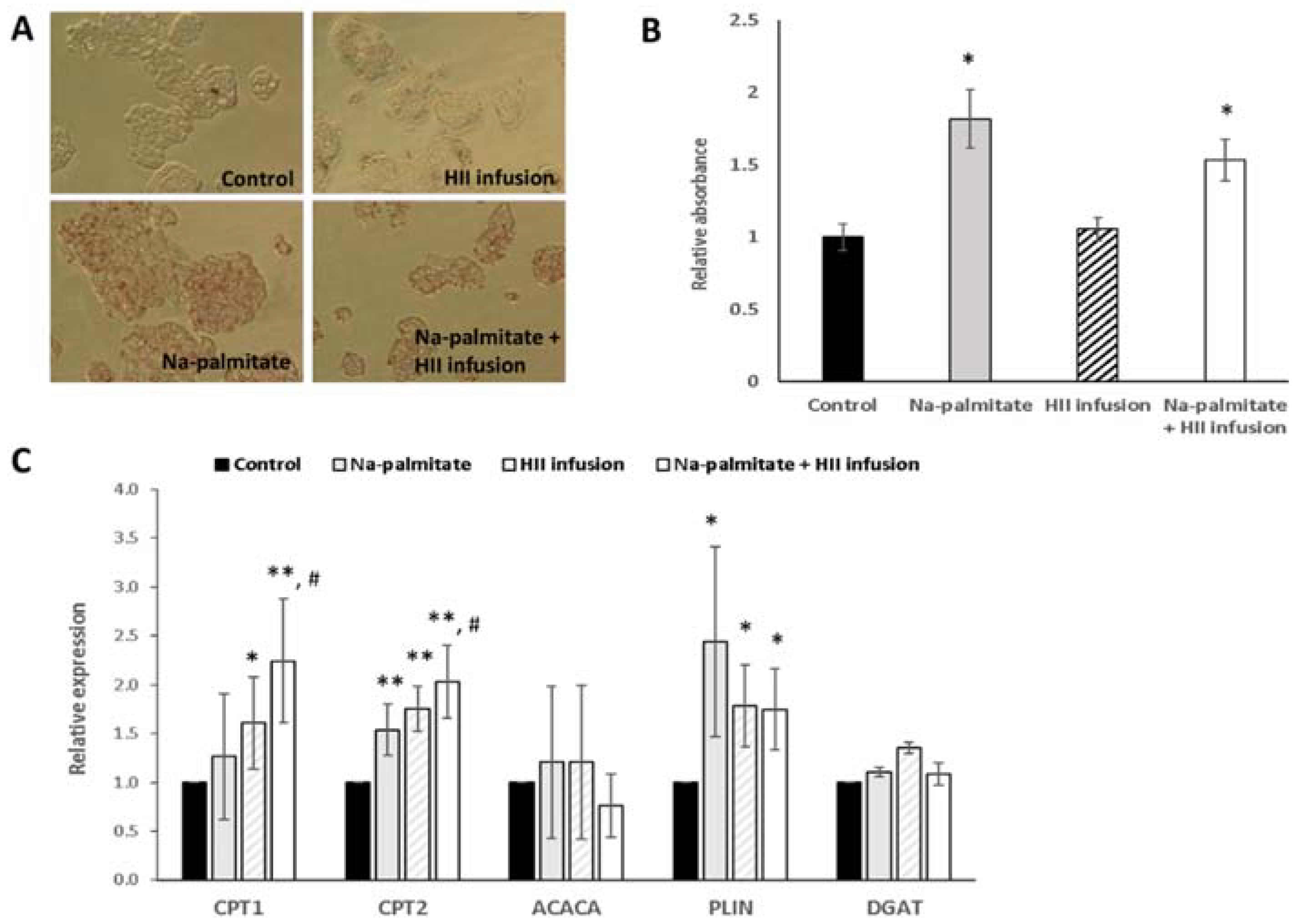 Plants 10 01516 g006 550