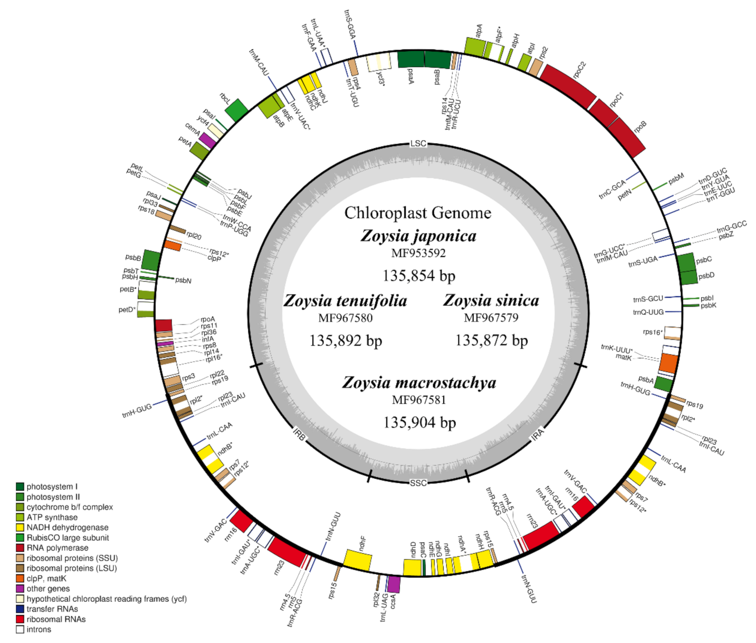 Plants 10 01517 g001 550